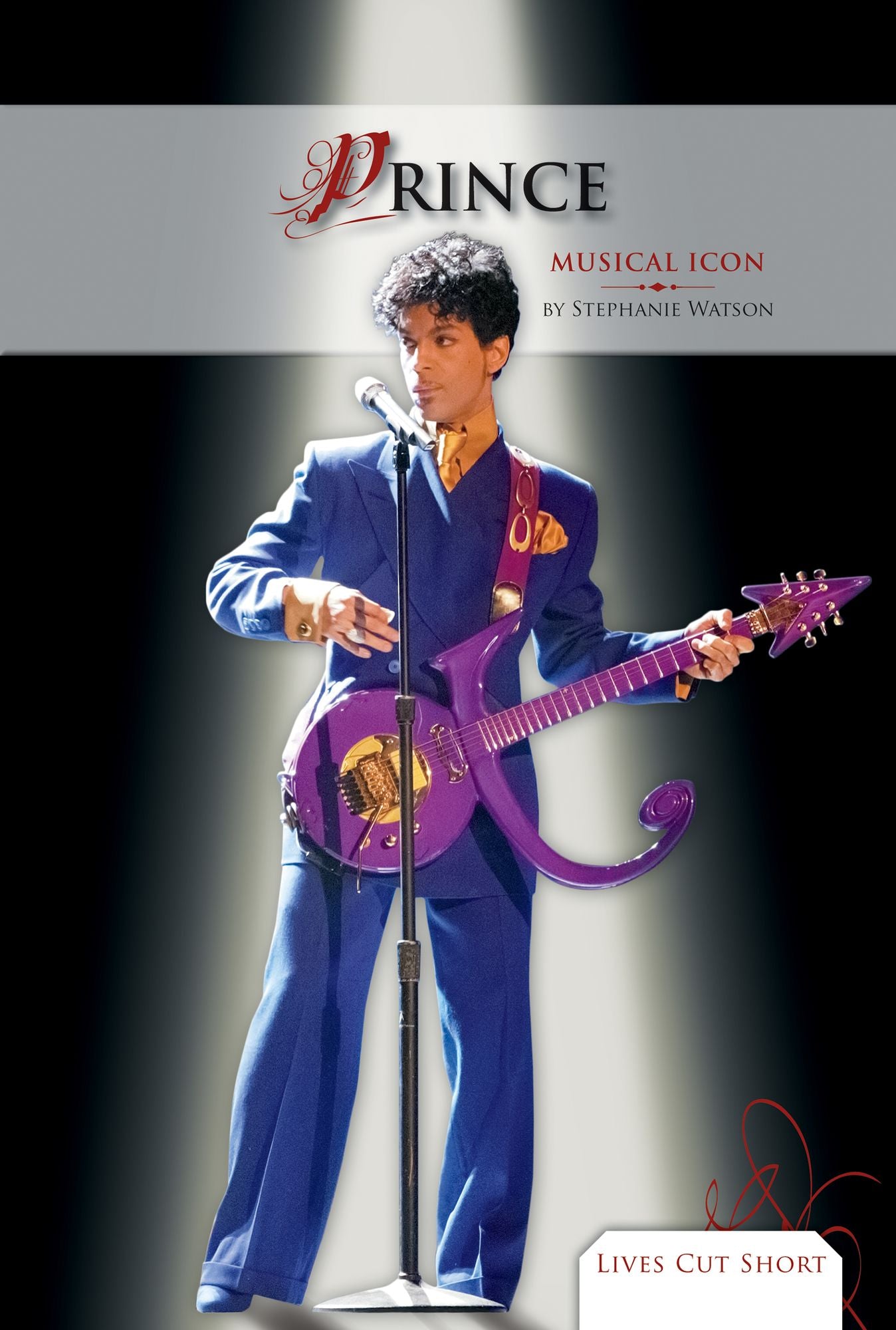 Prince: Musical Icon (PagePerfect NOOK Book)