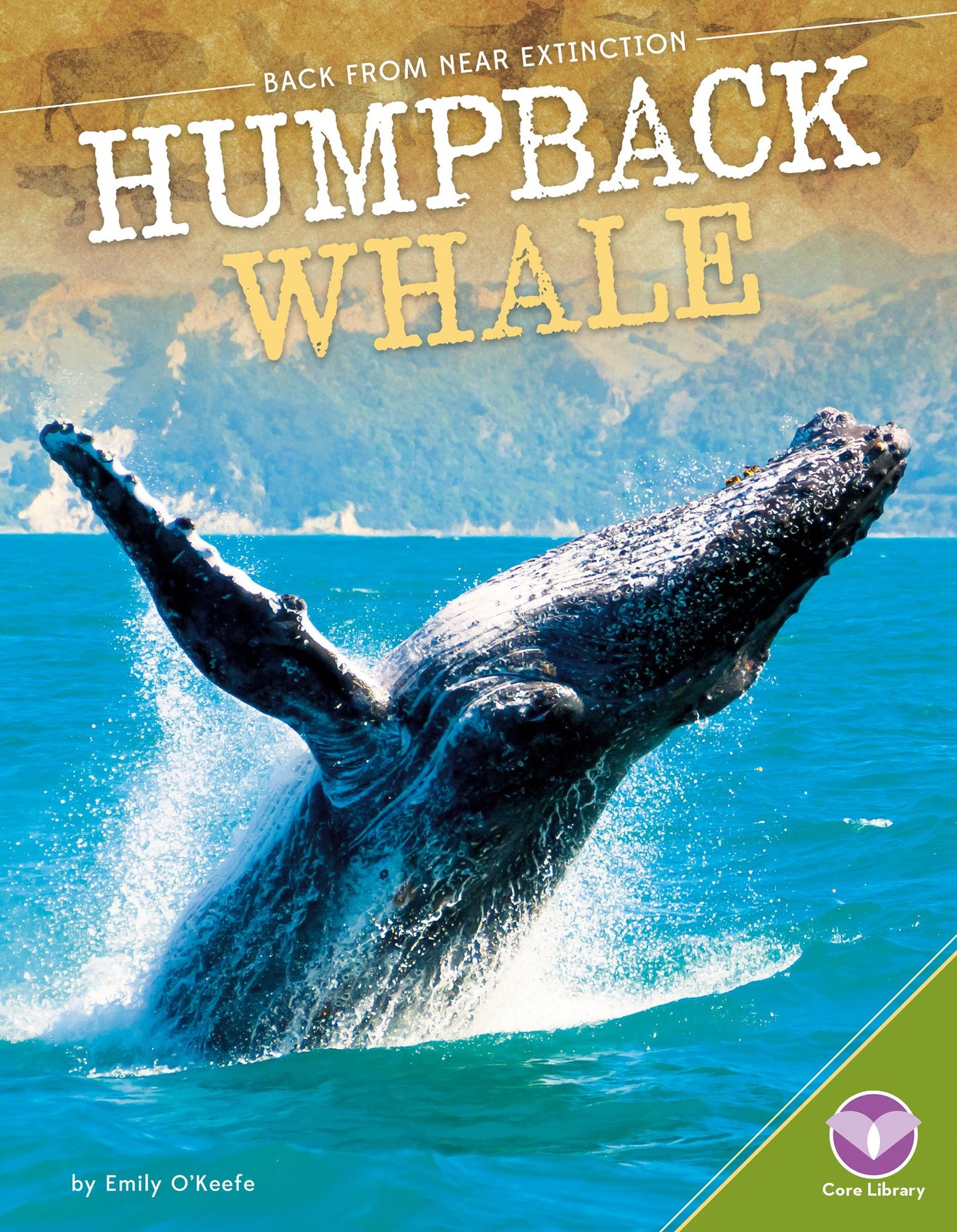 Humpback Whale
