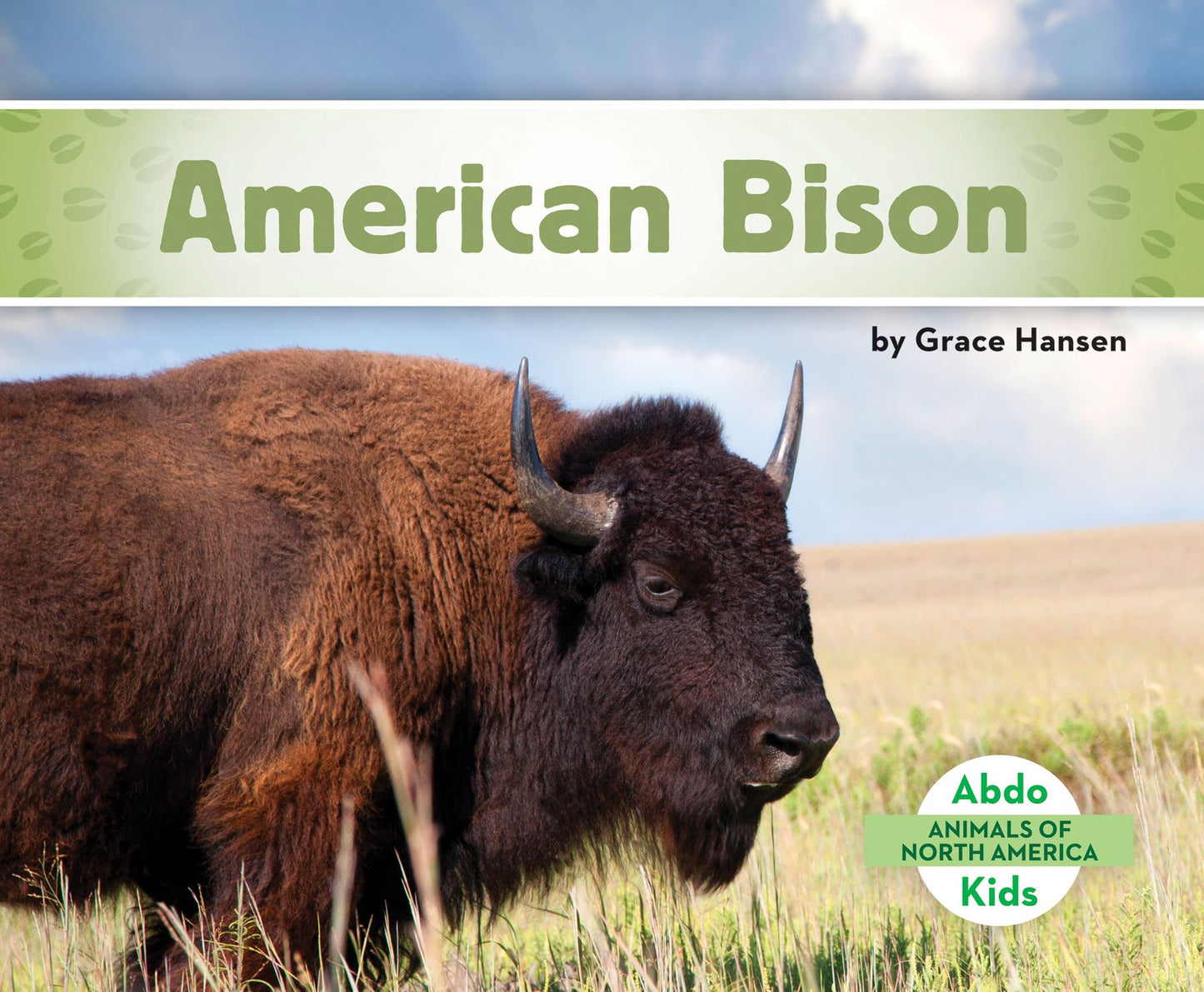 American Bison (PagePerfect NOOK Book)