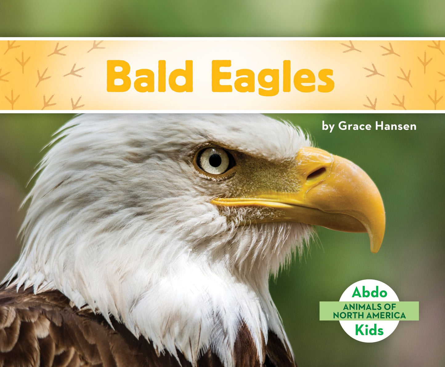 Bald Eagles (PagePerfect NOOK Book)