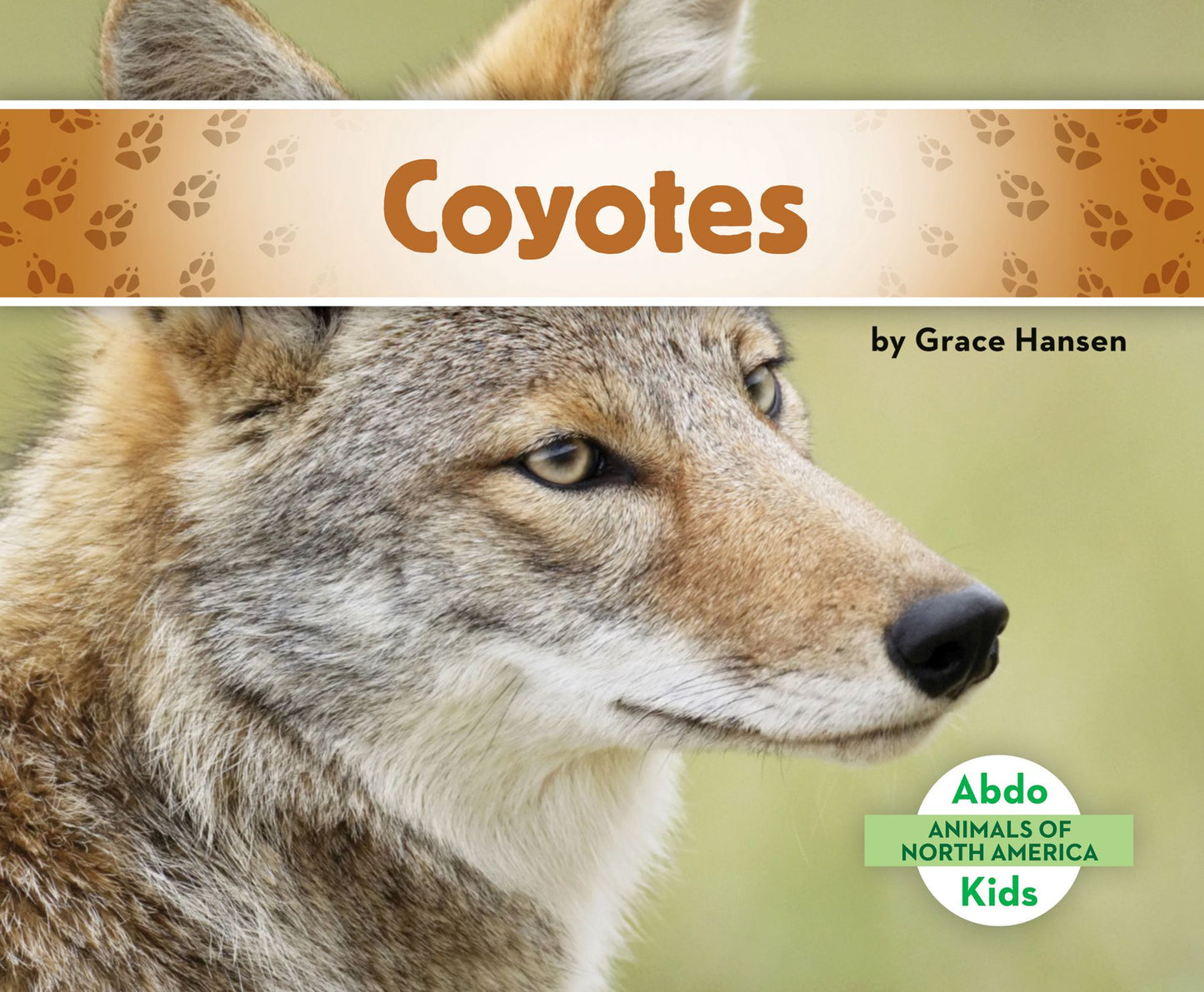 Coyotes (PagePerfect NOOK Book)