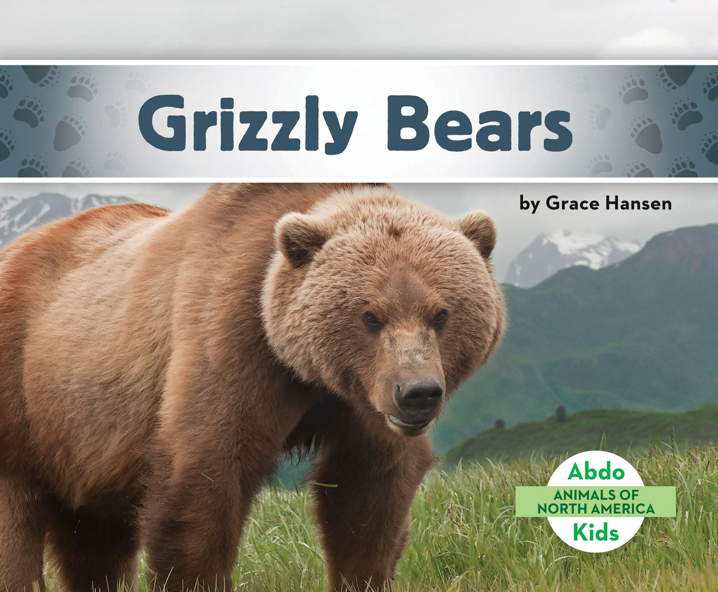 Grizzly Bears (PagePerfect NOOK Book)