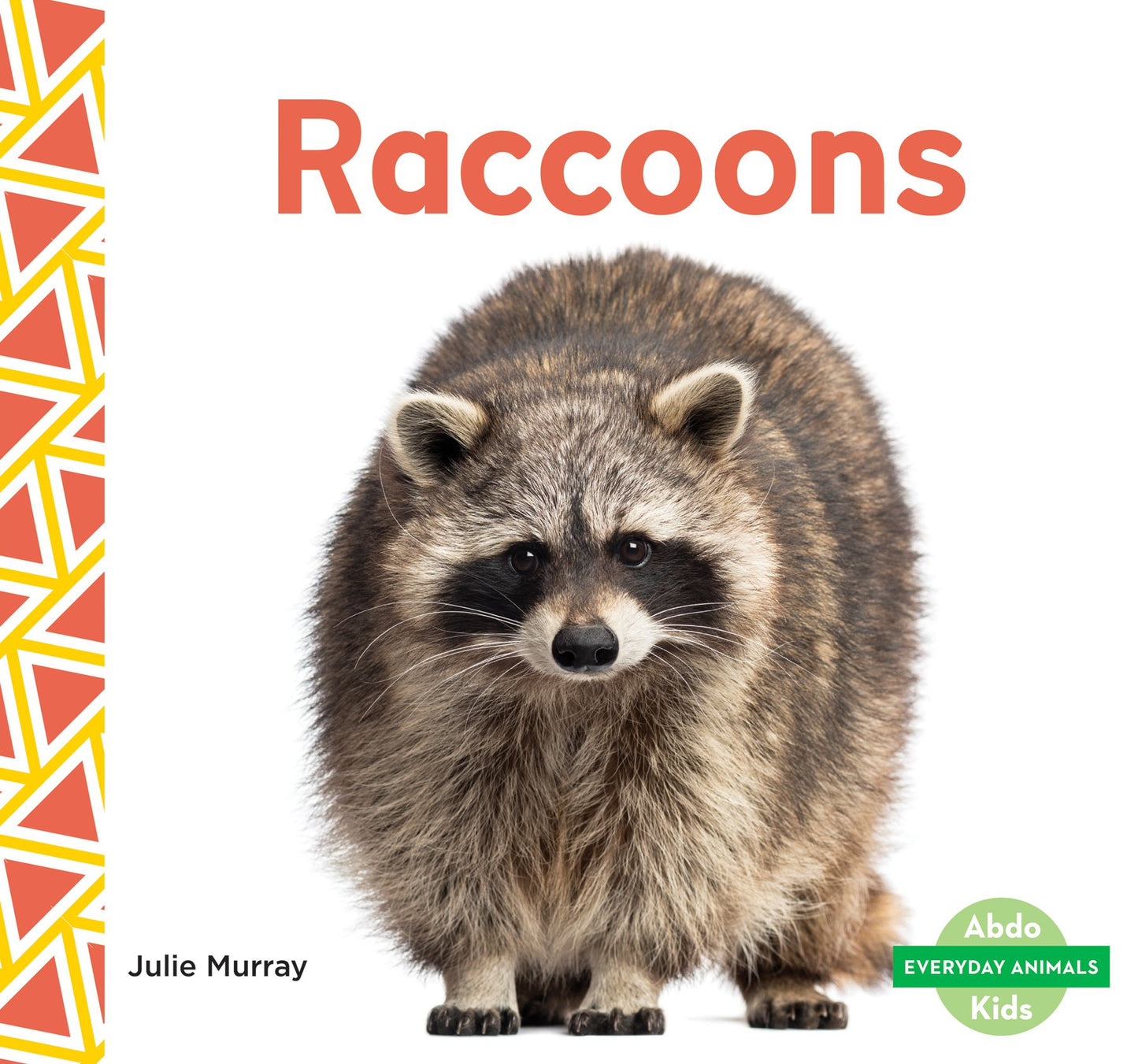 Raccoons (PagePerfect NOOK Book)