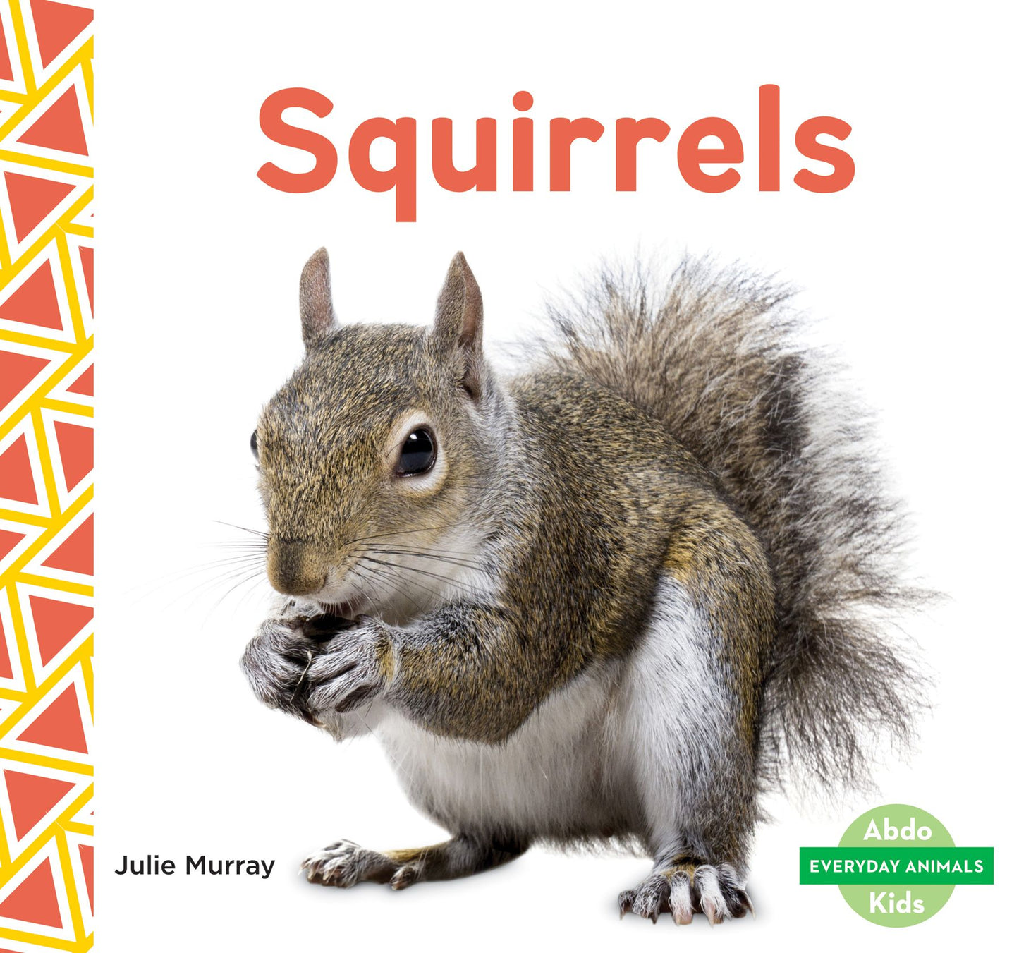 Squirrels (PagePerfect NOOK Book)