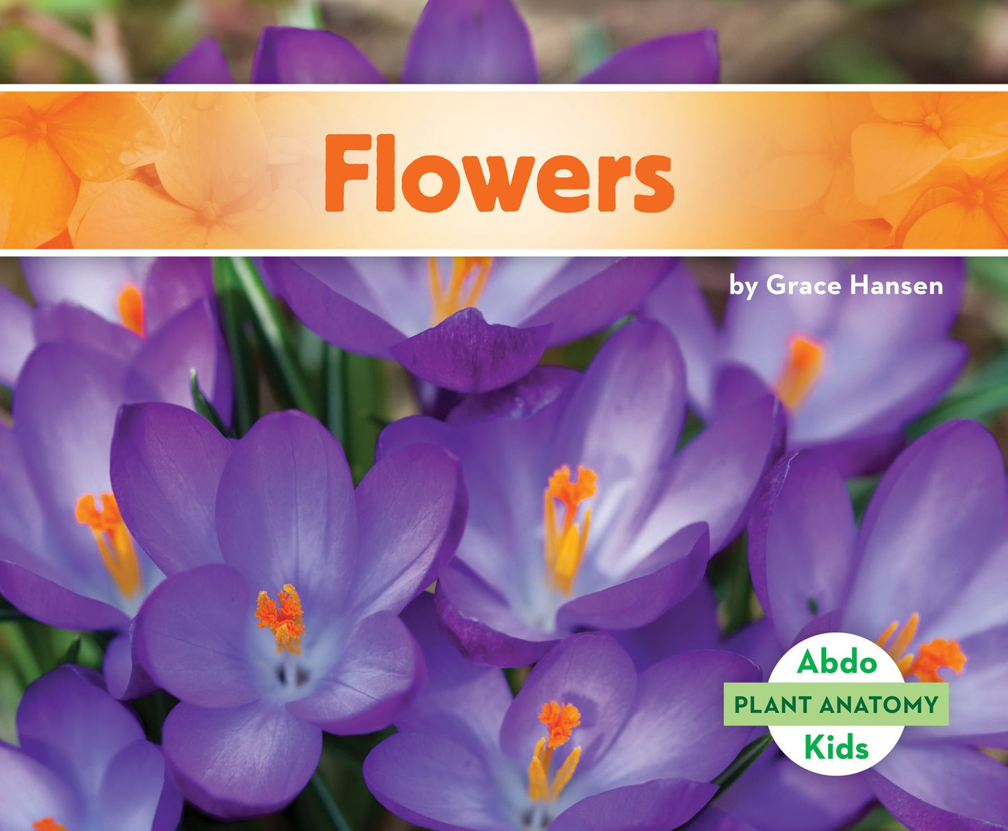 Flowers (PagePerfect NOOK Book)