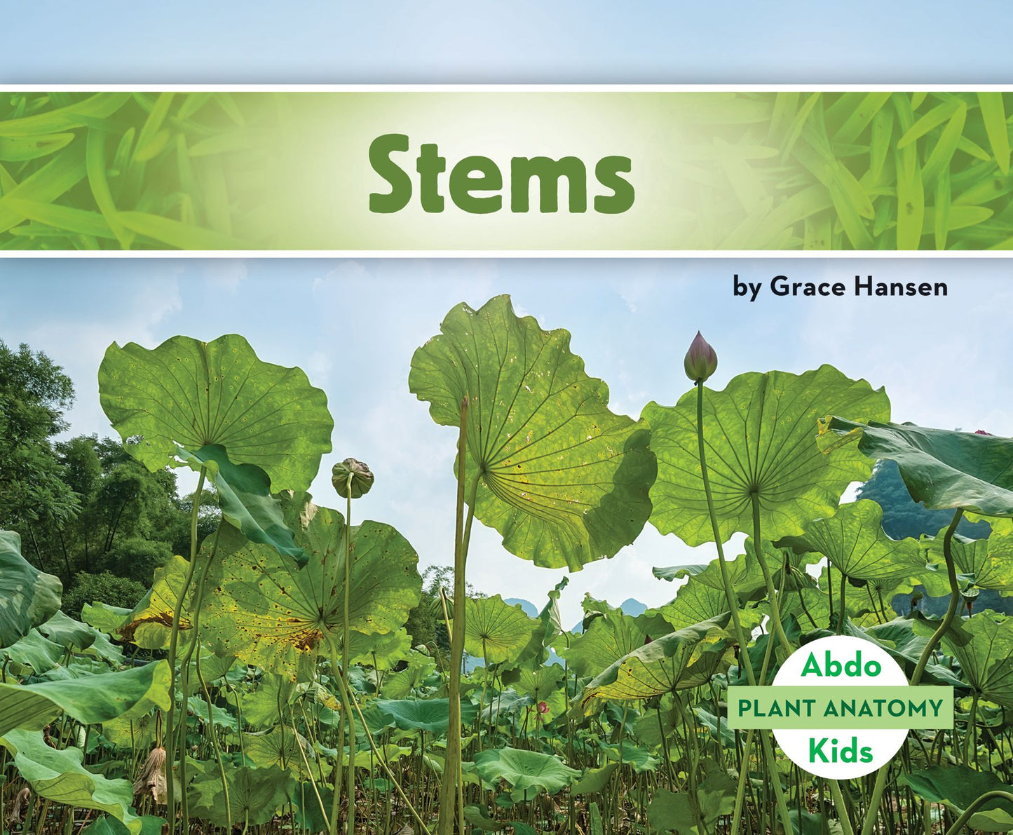 Stems (PagePerfect NOOK Book)
