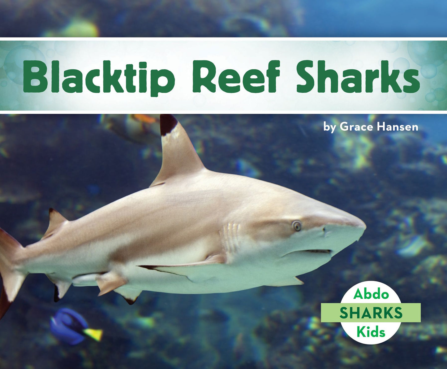 Blacktip Reef Sharks (PagePerfect NOOK Book)