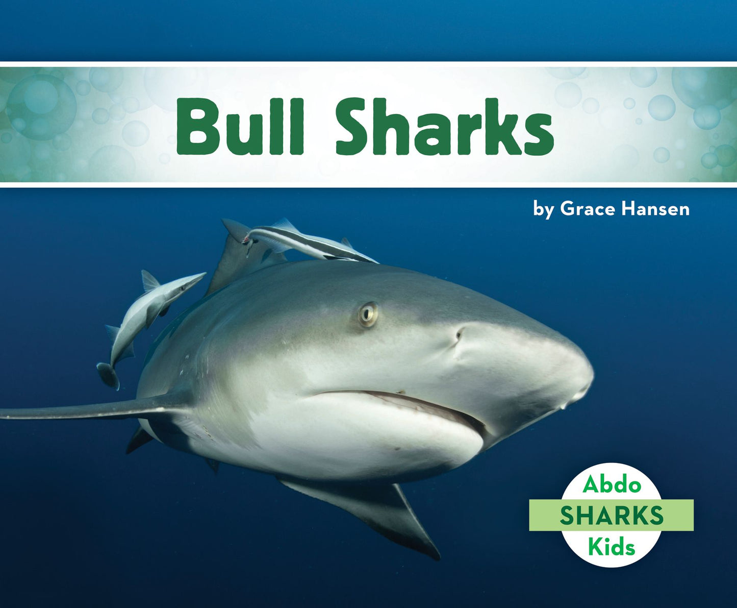 Bull Sharks (PagePerfect NOOK Book)