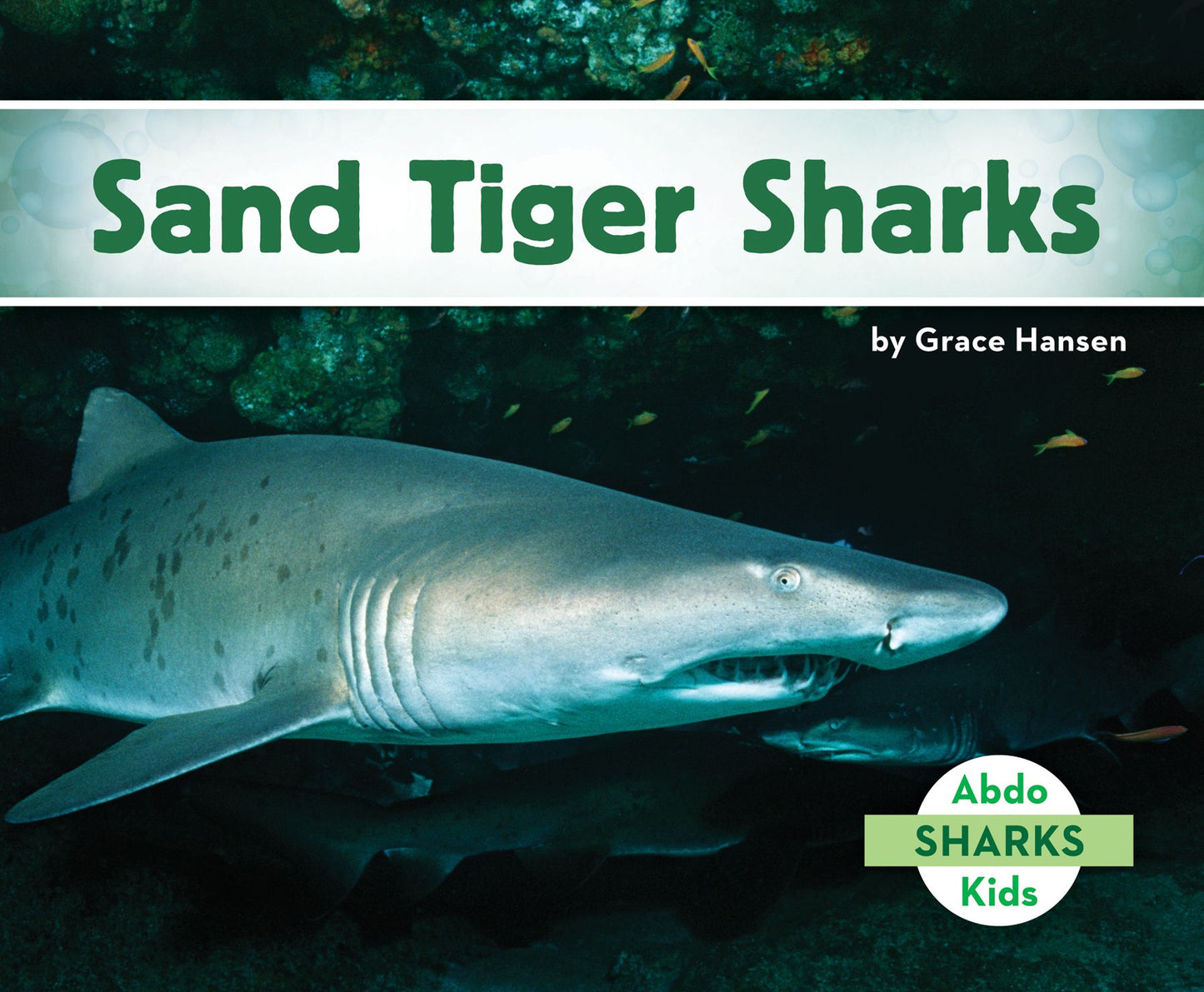 Sand Tiger Sharks (PagePerfect NOOK Book)