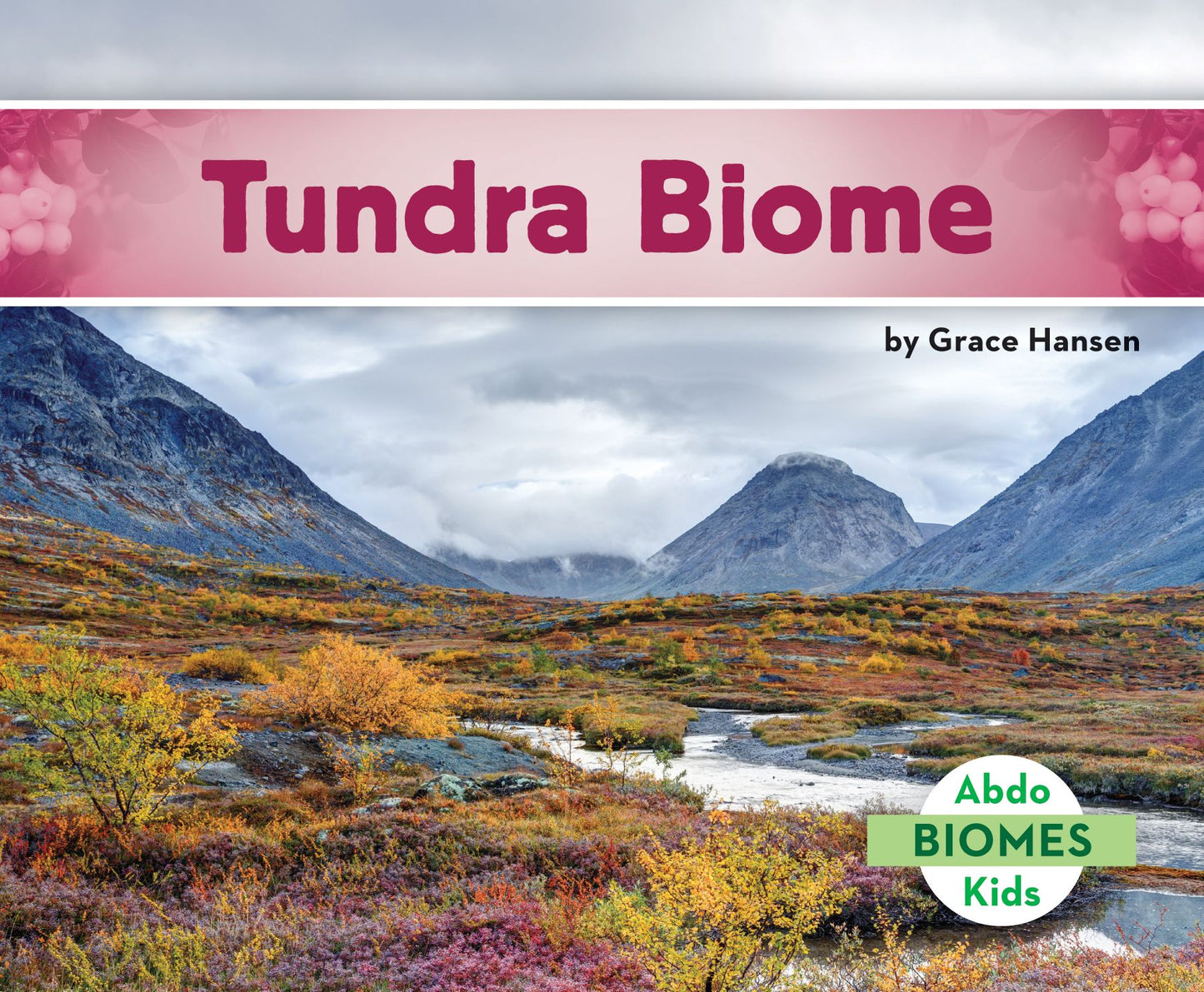 Tundra Biome (PagePerfect NOOK Book)