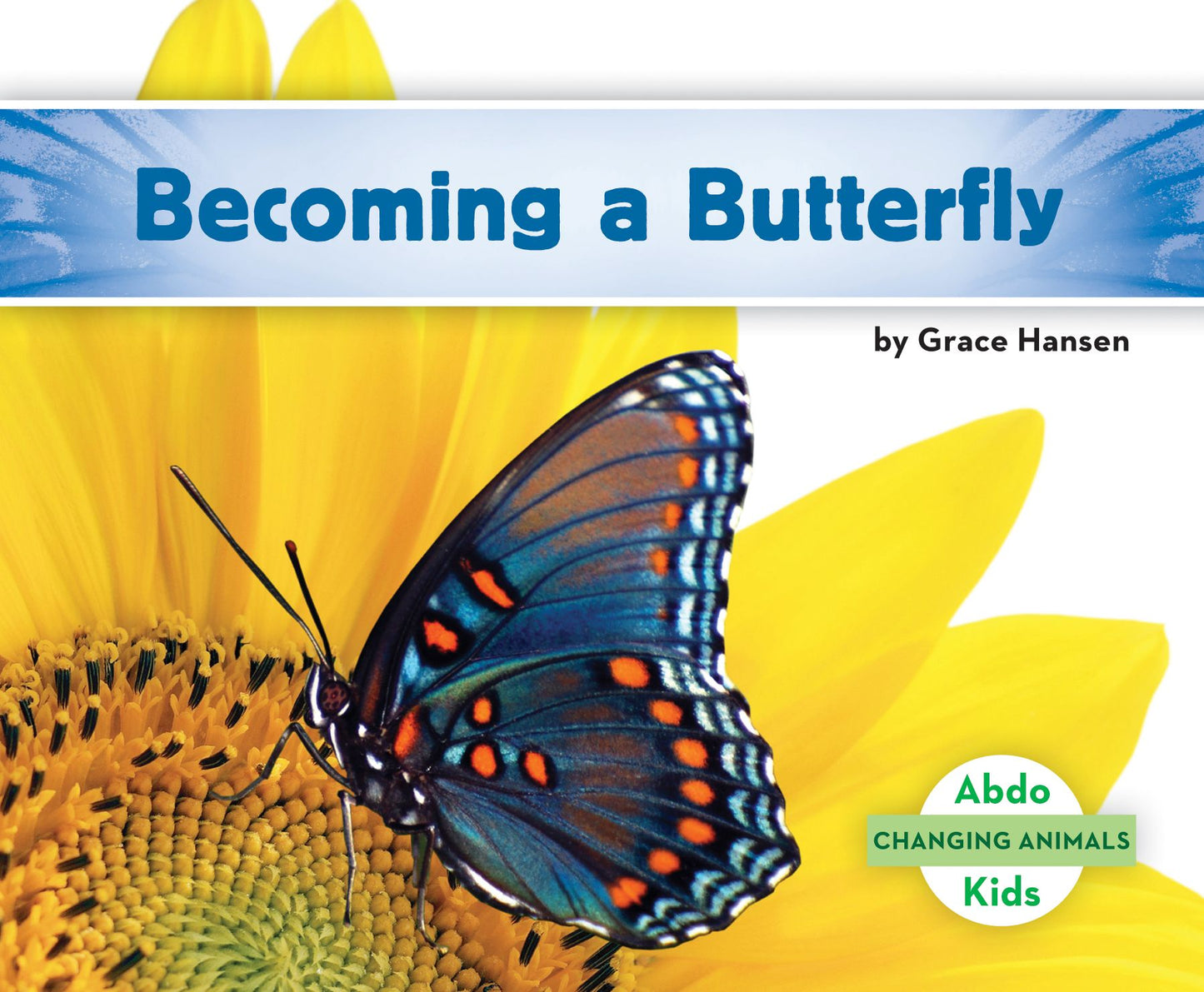 Becoming a Butterfly (PagePerfect NOOK Book)