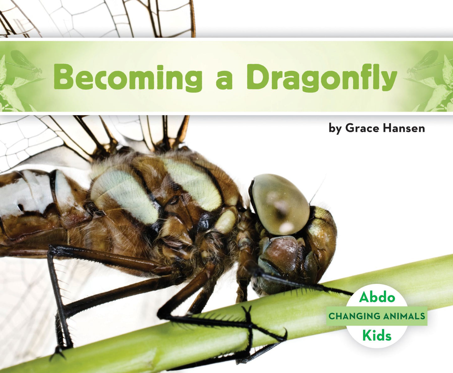 Becoming a Dragonfly (PagePerfect NOOK Book)