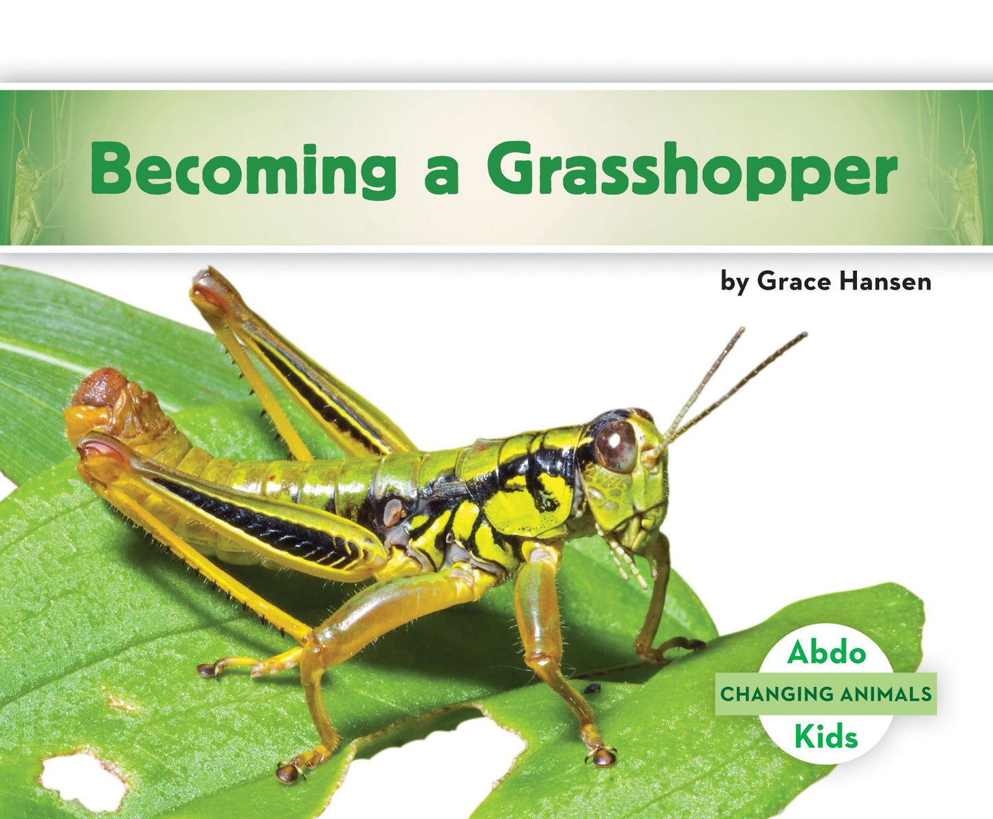 Becoming a Grasshopper (PagePerfect NOOK Book)