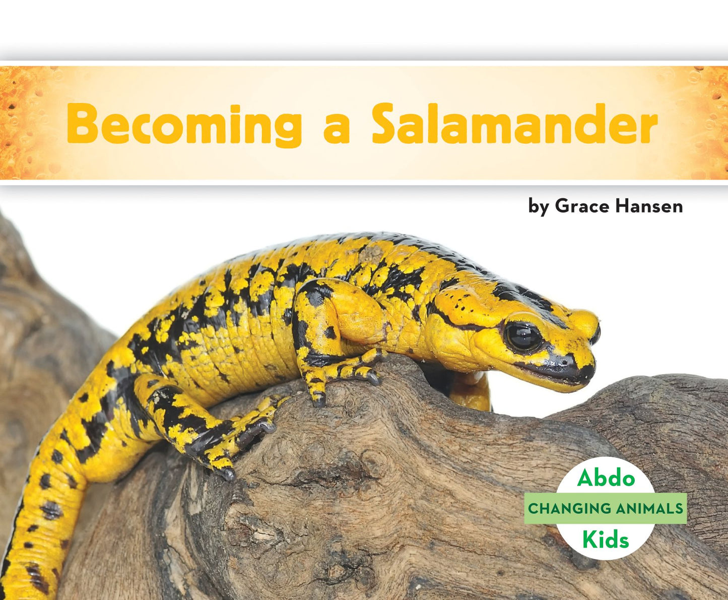 Becoming a Salamander (PagePerfect NOOK Book)