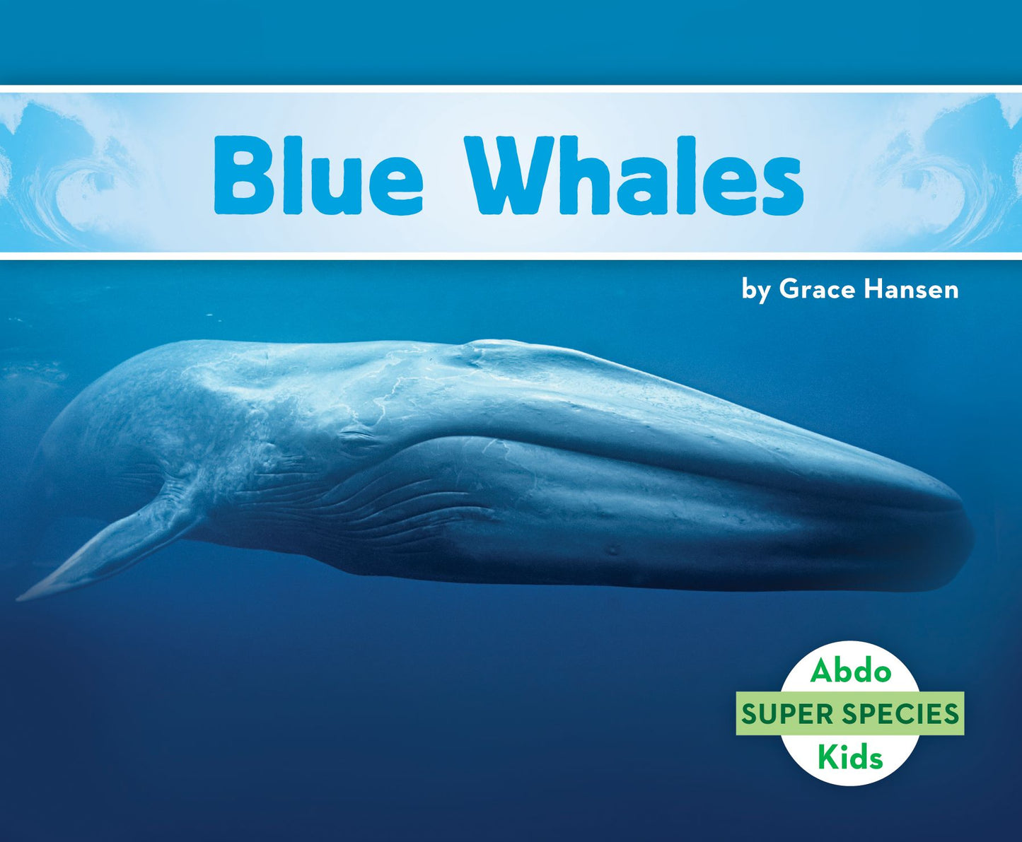 Blue Whales (PagePerfect NOOK Book)