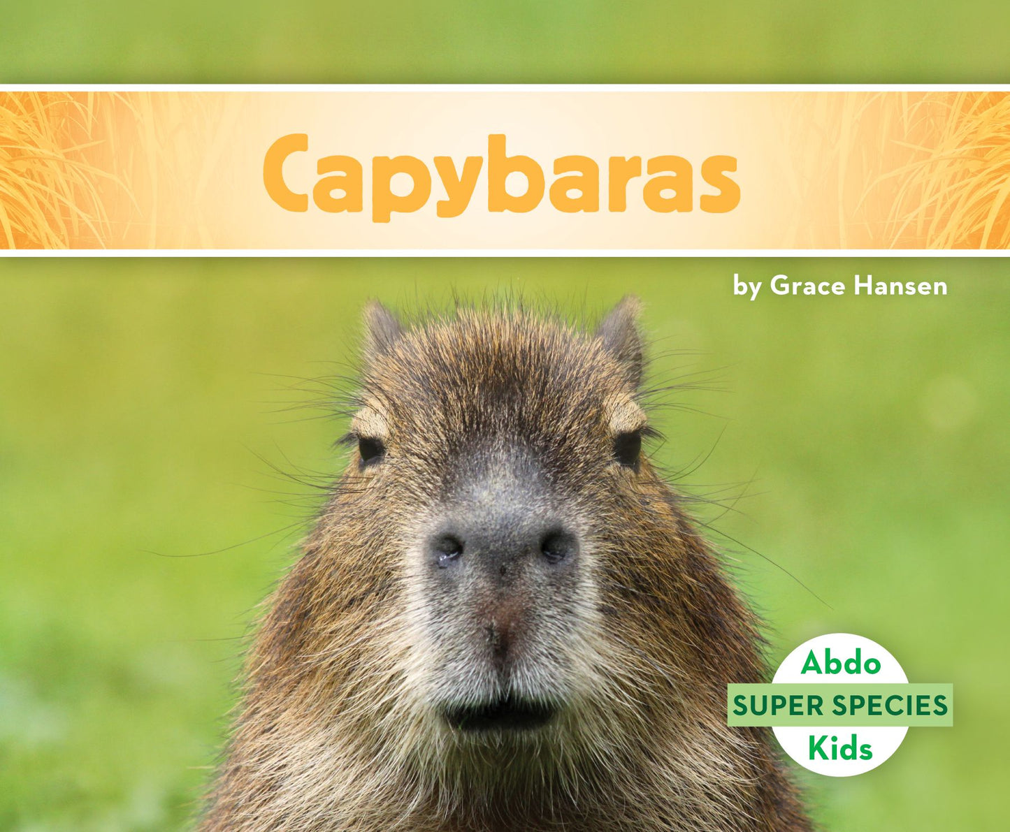 Capybaras (PagePerfect NOOK Book)