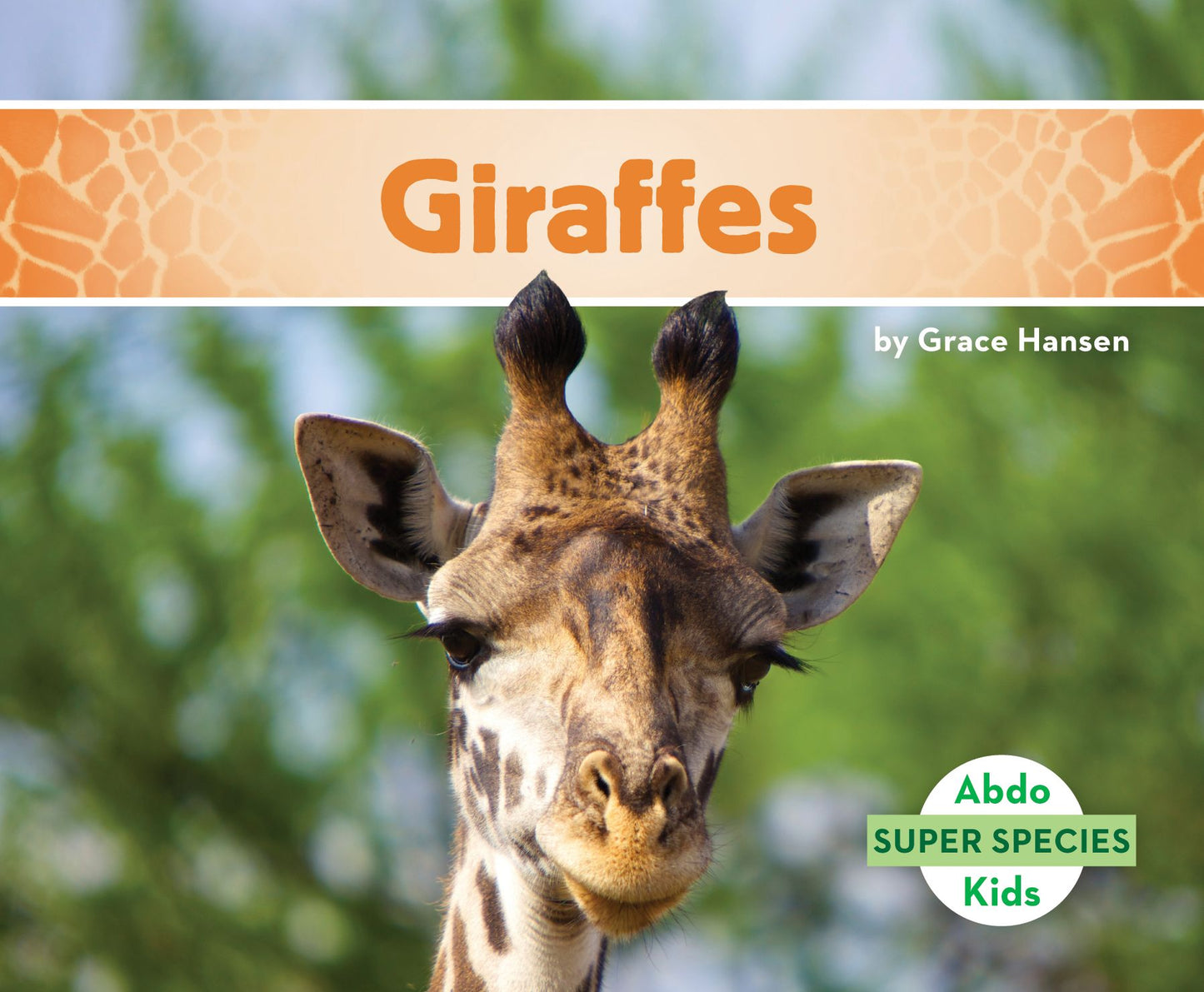 Giraffes (PagePerfect NOOK Book)