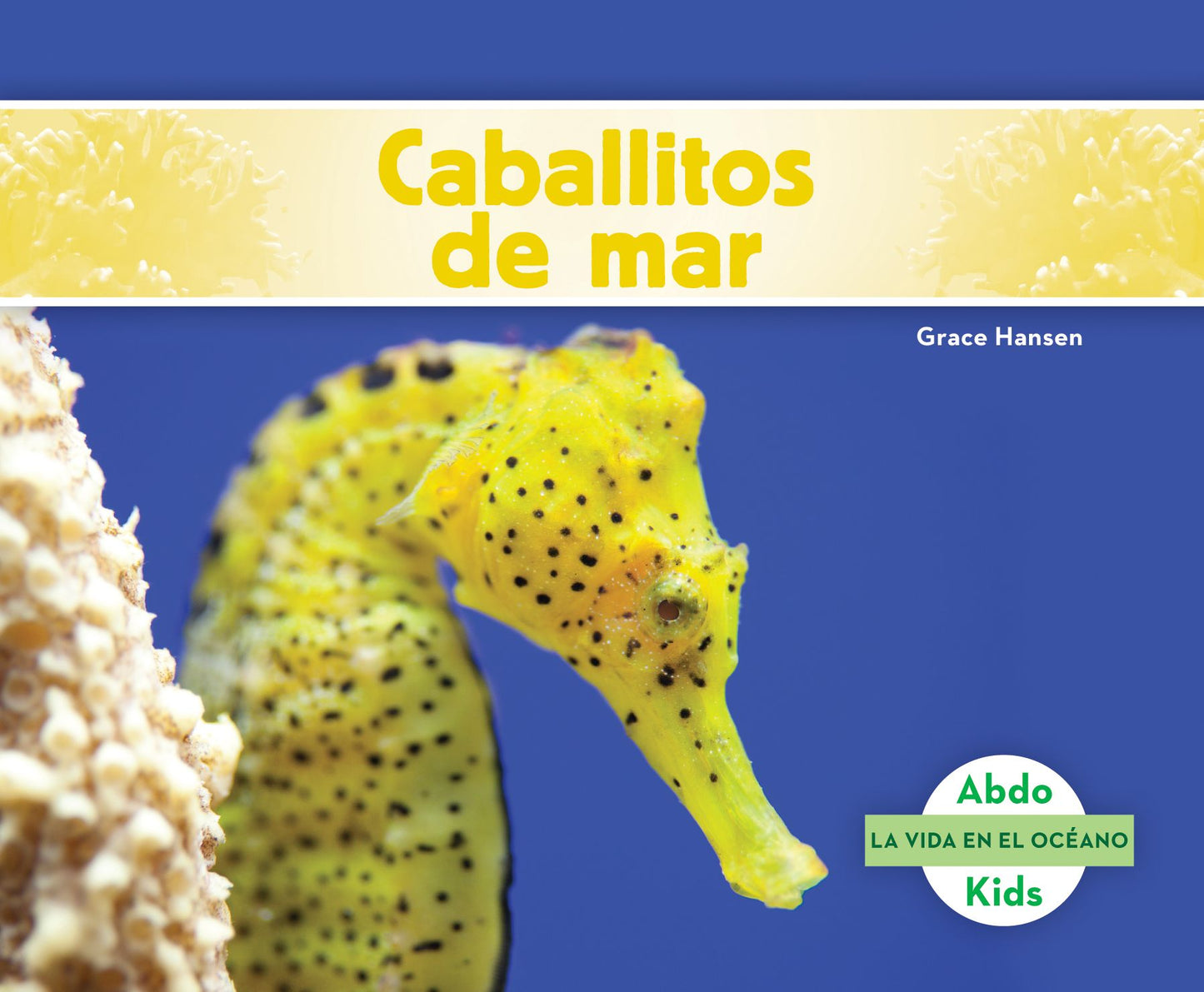 Caballitos de mar / Seahorses