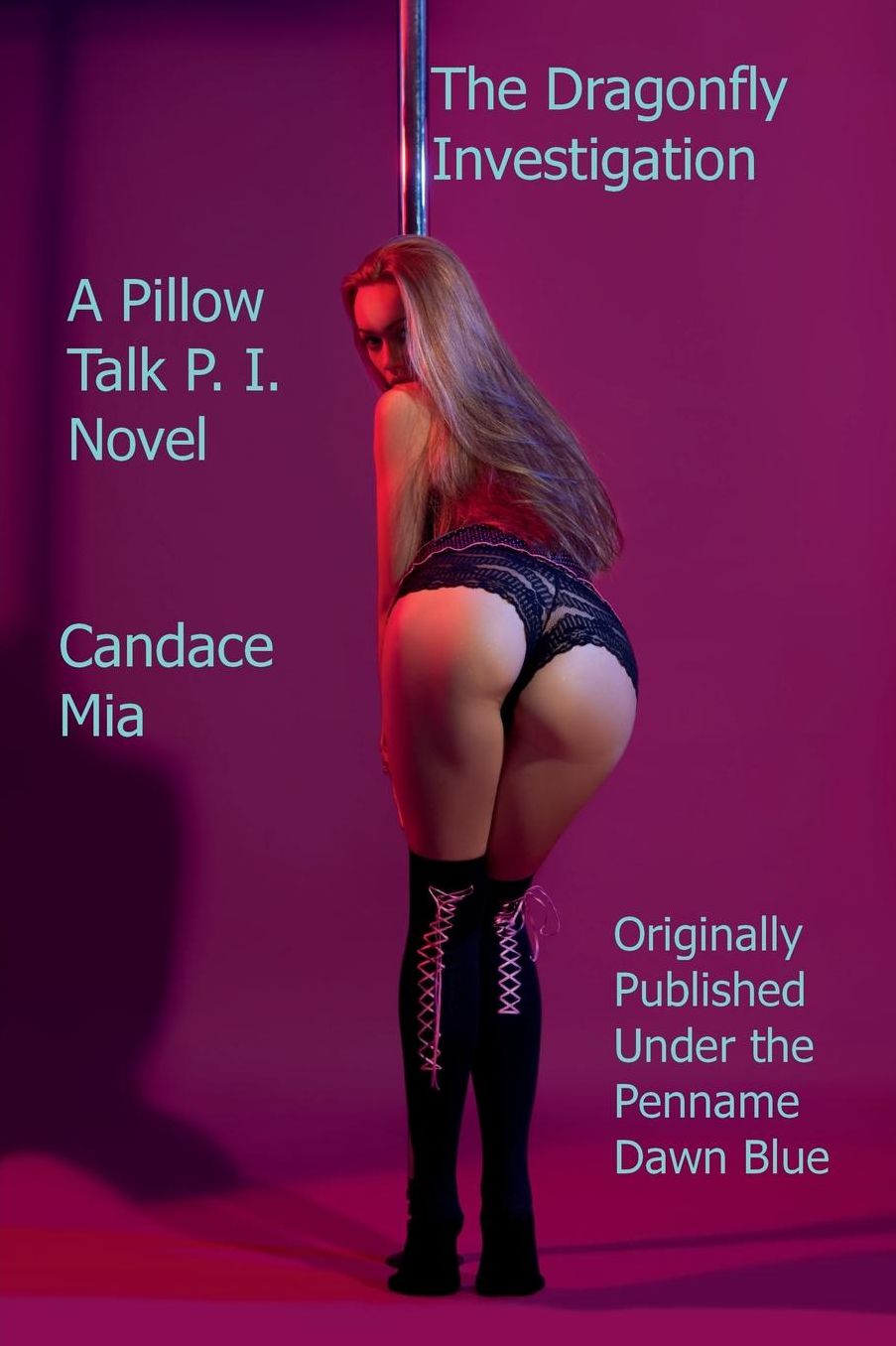 The Dragonfly Investigation: A Pillow Talk P. I. Novel: