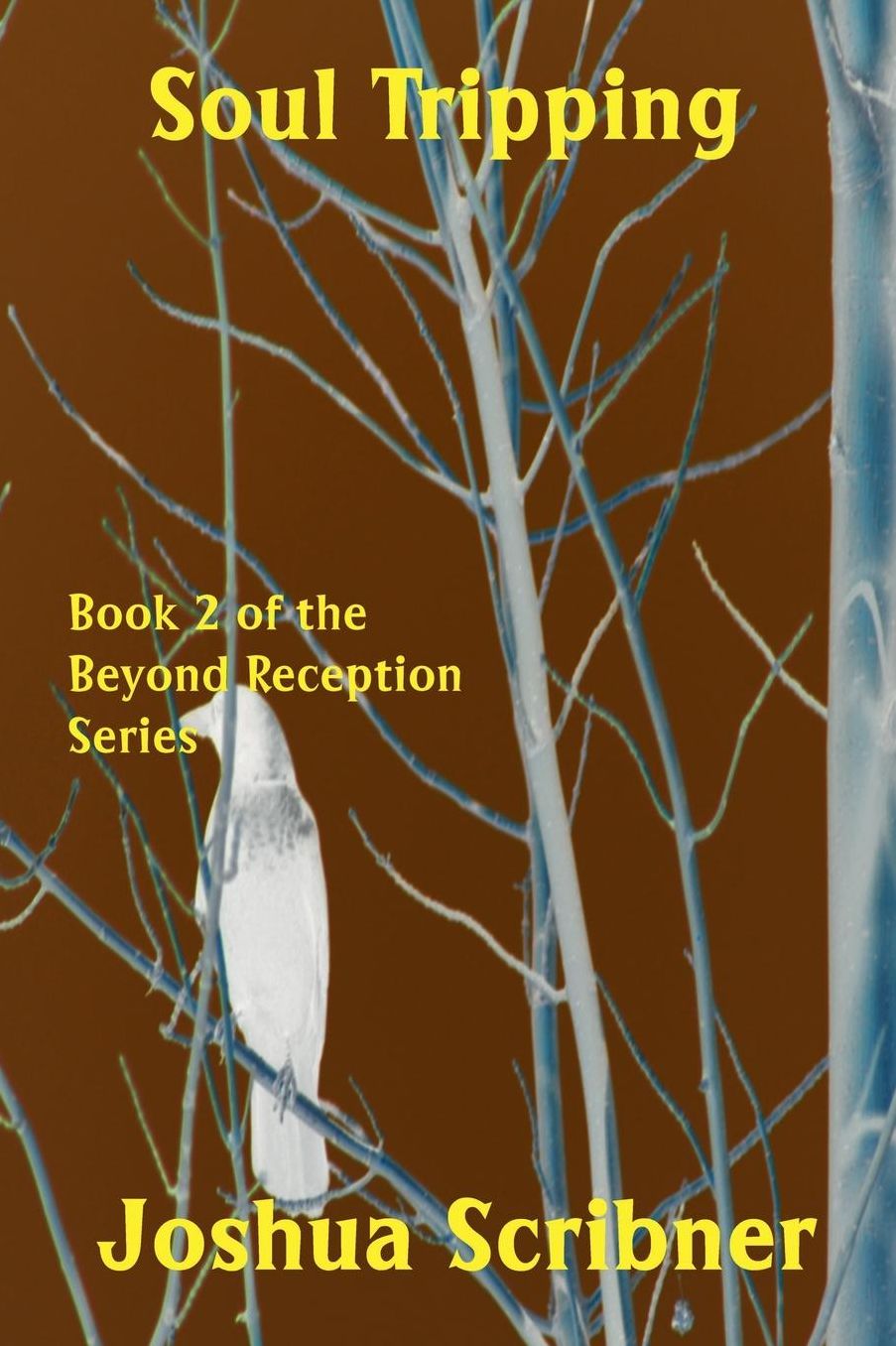 Soul Tripping: Book 2 of the Beyond Reception Series