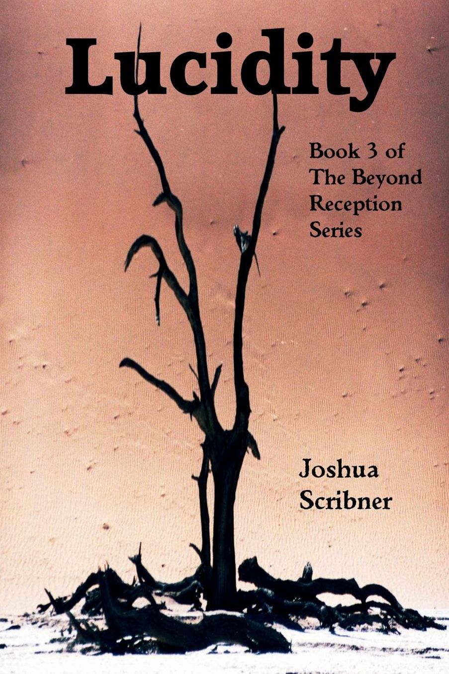 Lucidity: Book 3 of the Beyond Reception Series