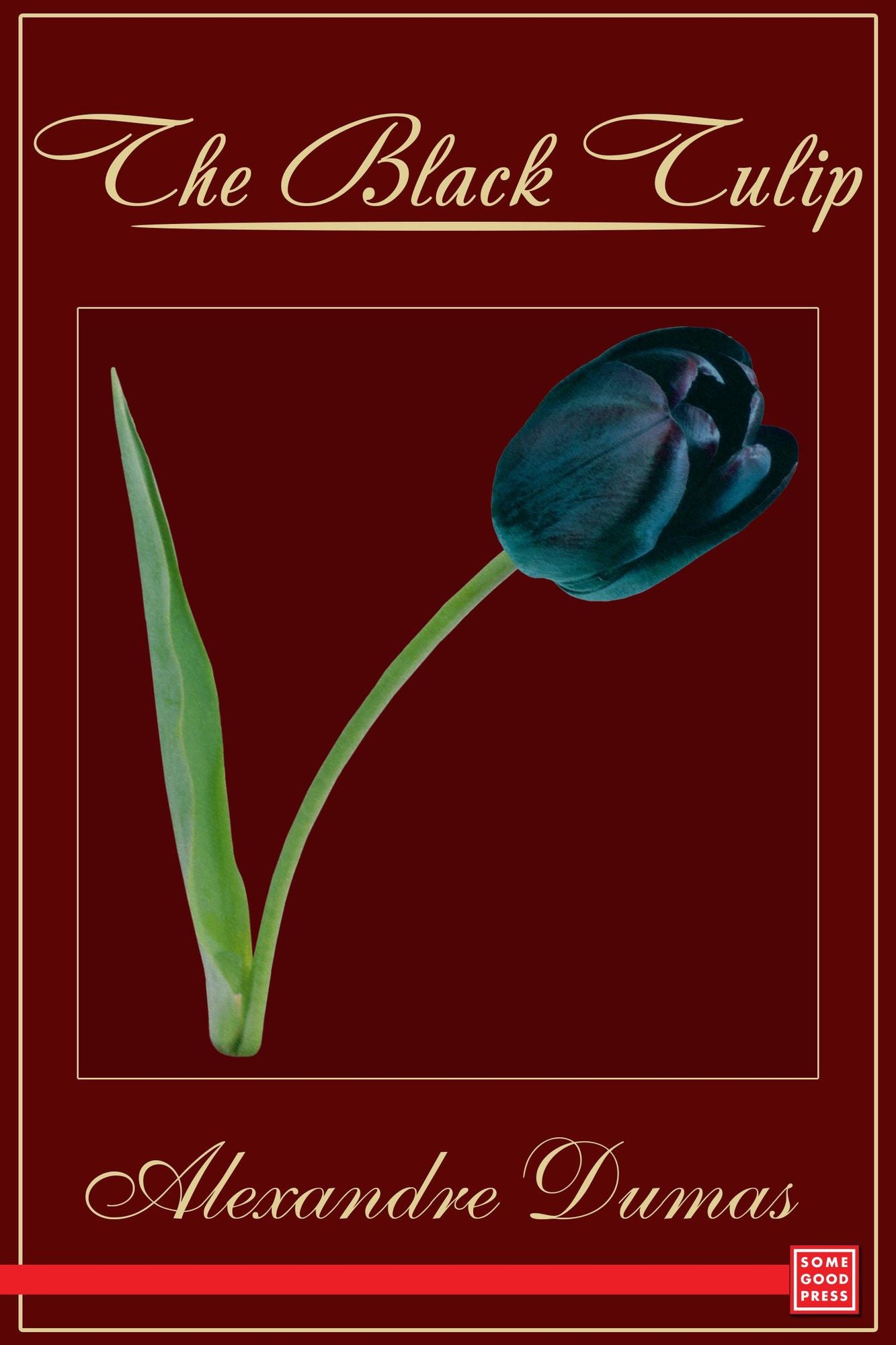 The Black Tulip