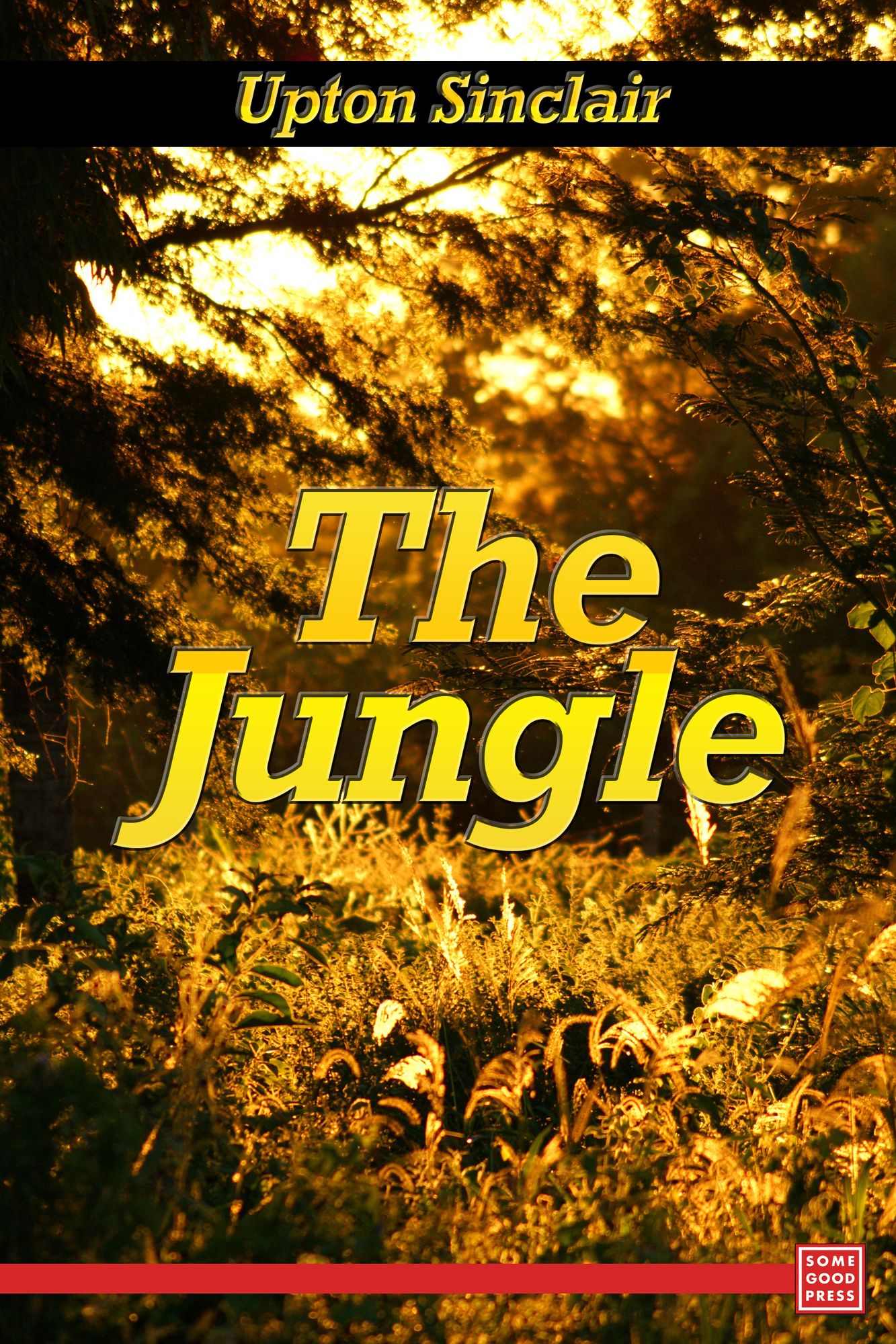 The Jungle