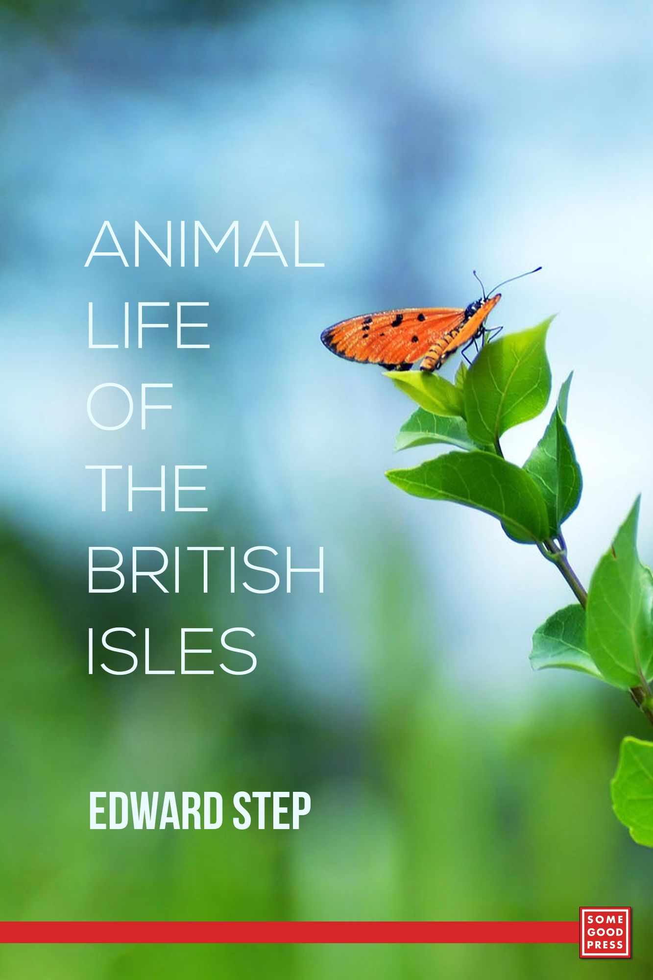 Animal Life Of The British Isles