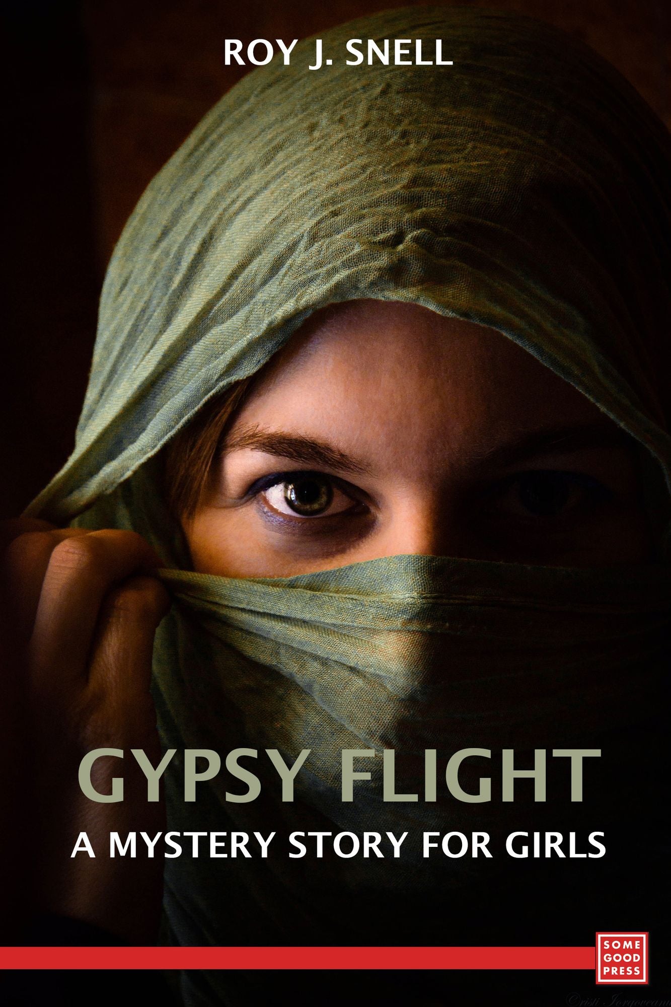 Gypsy Flight A Mystery Story for Girls