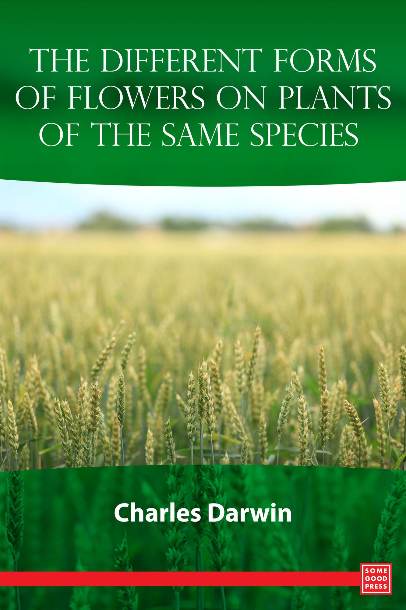 The Different Forms of Flowers on Plants of the Same Species