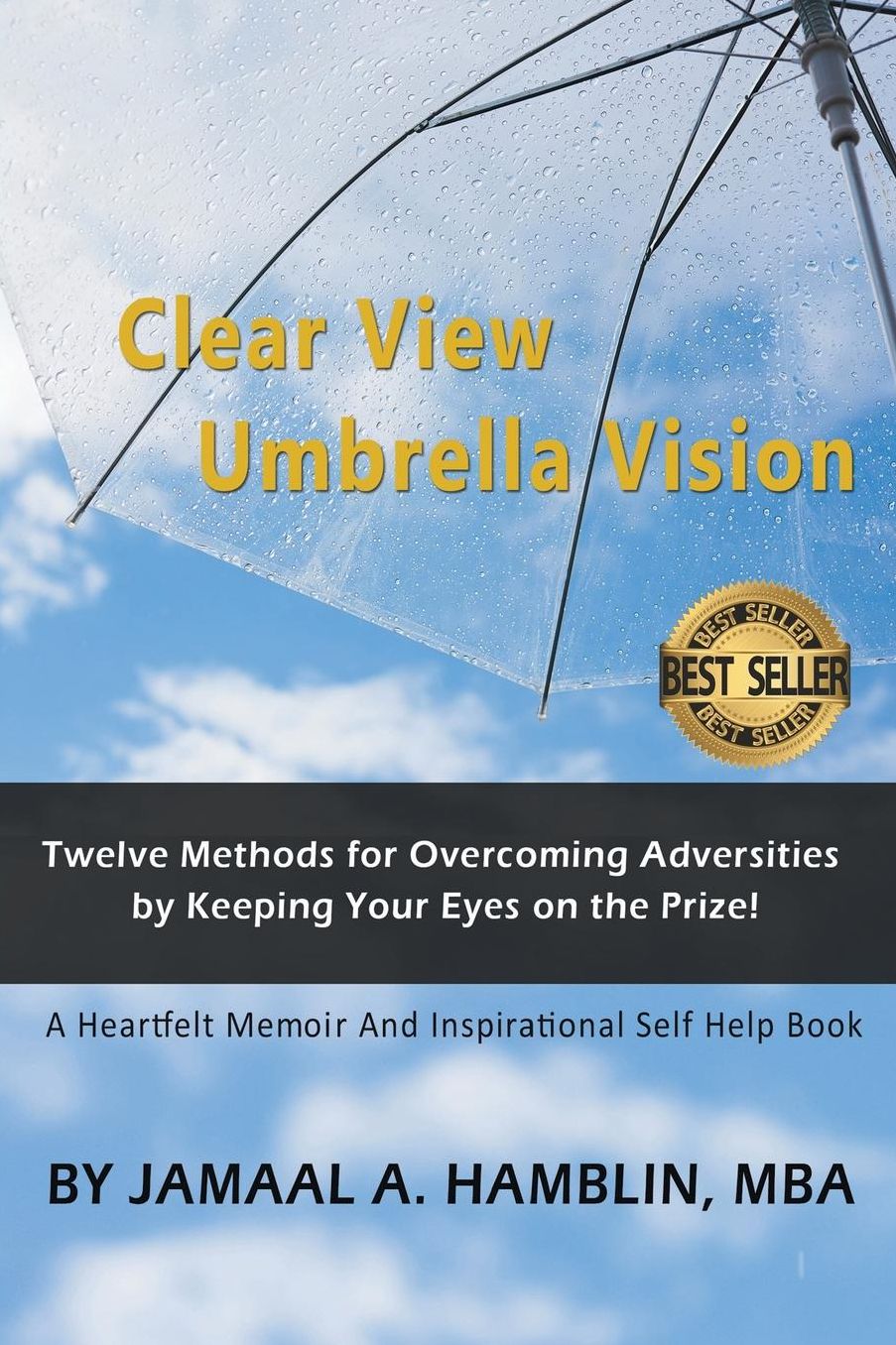 Clear View Umbrella Vision: Learn Twelve Methods for Overcoming Adversities by Keeping Your Eyes on the Prize!