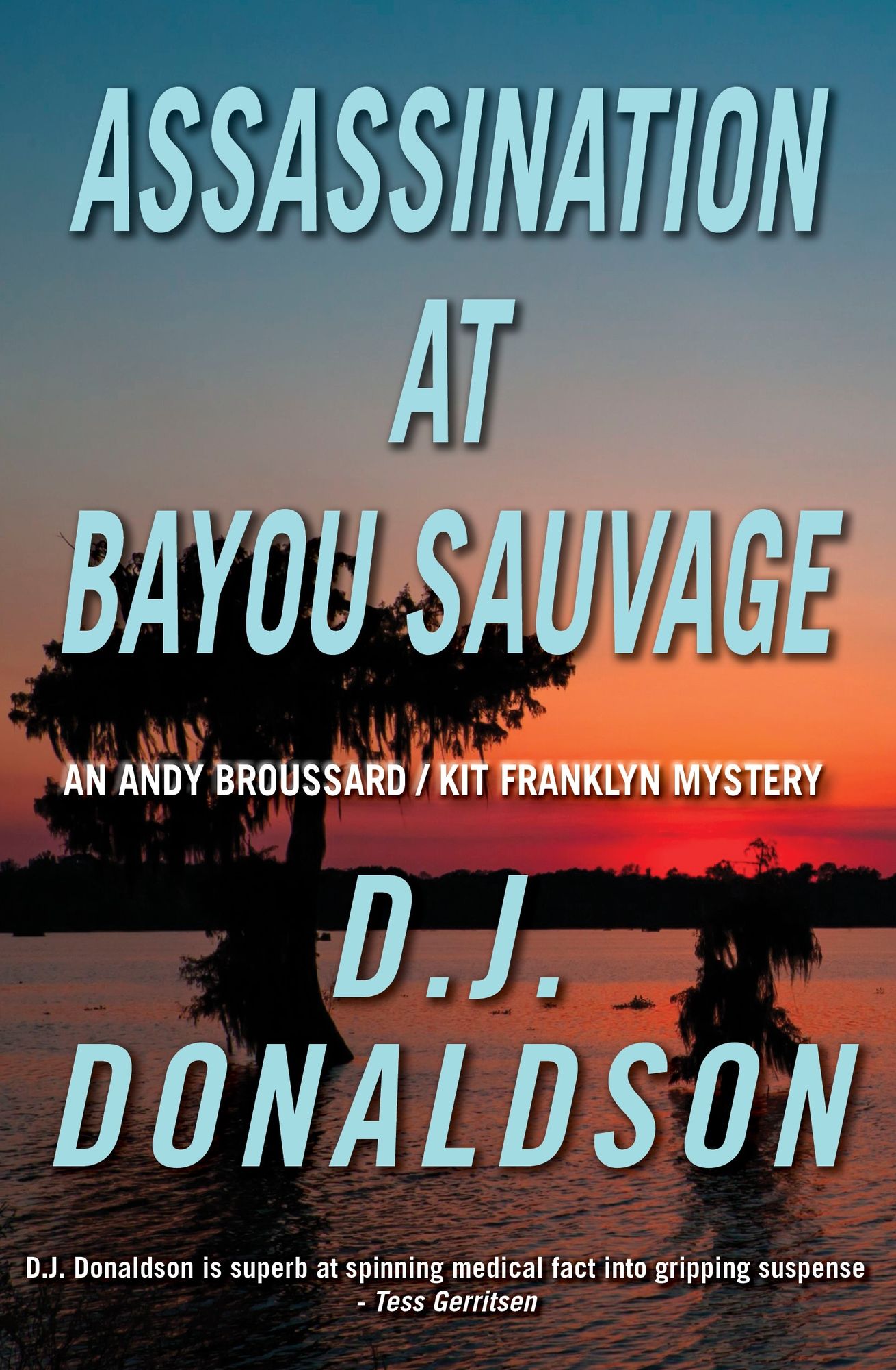 Assassination at Bayou Sauvage