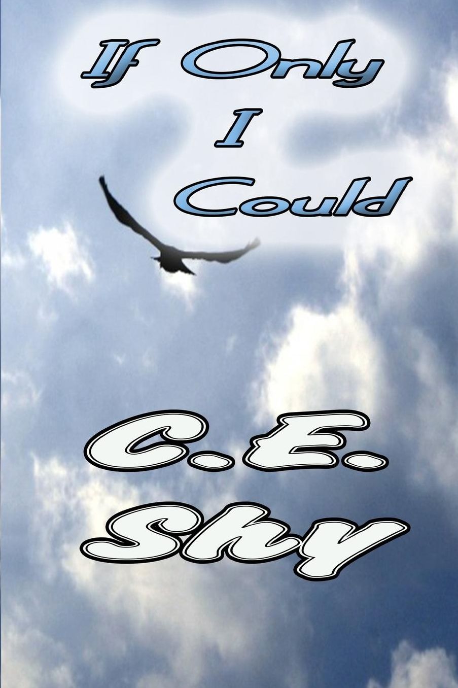 If Only I Could ...