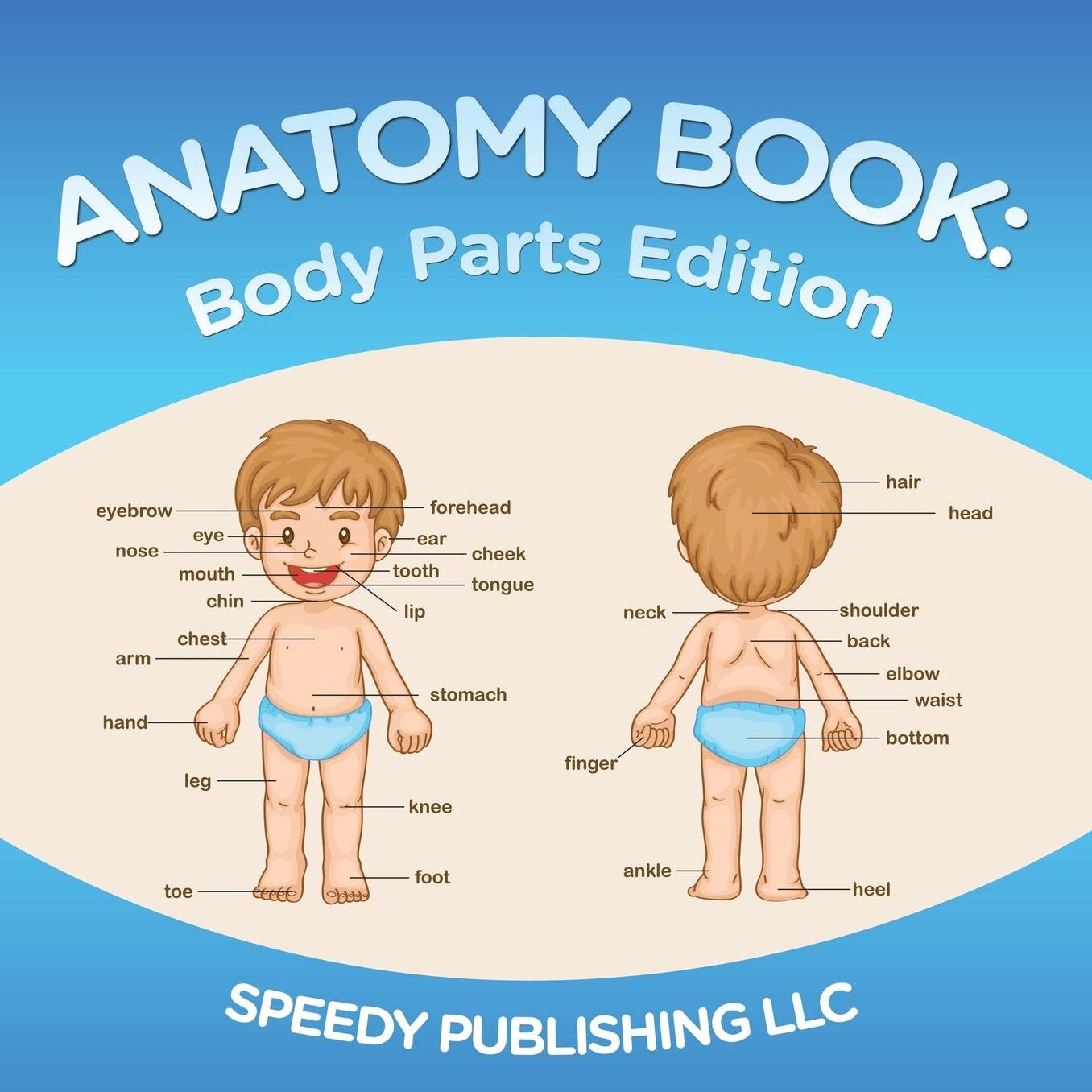 Anatomy Book: Body Parts Edition