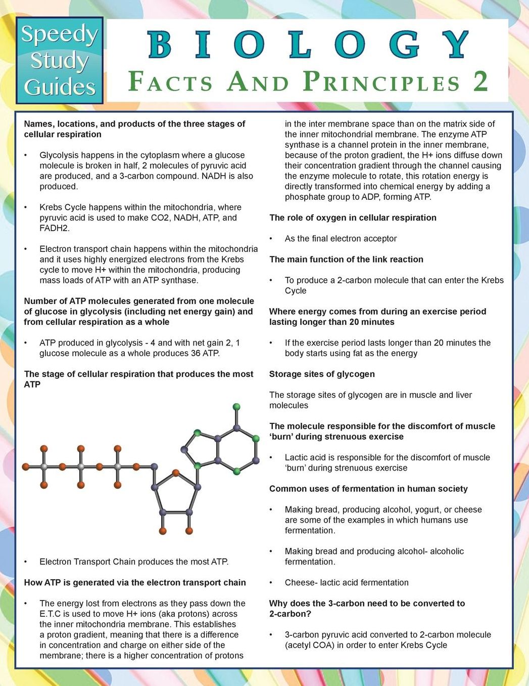 Biology Facts and Principles 2 (Speedy Study Guides)