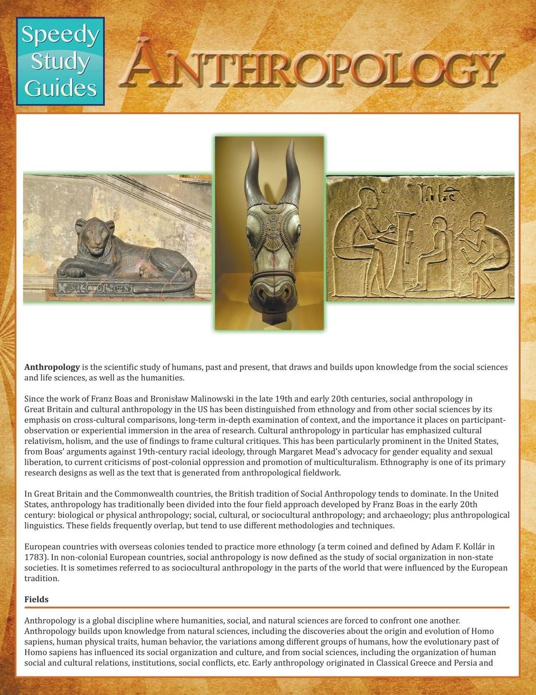 Anthropology (Speedy Study Guides)