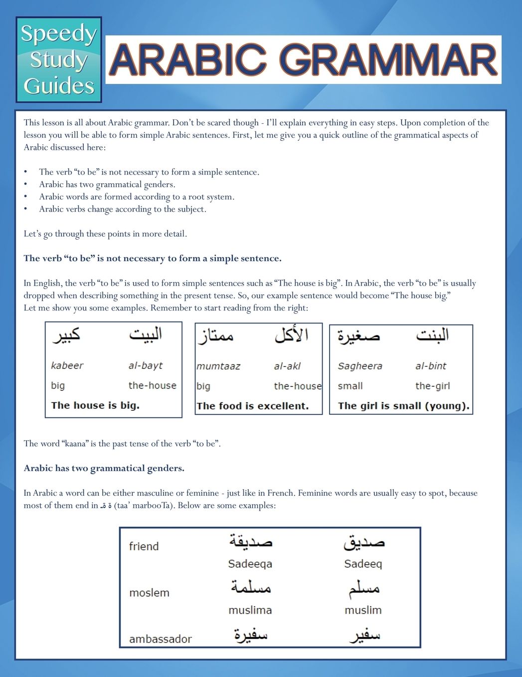 Arabic Grammar (Speedy Study Guides)