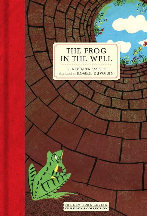The Frog in the Well