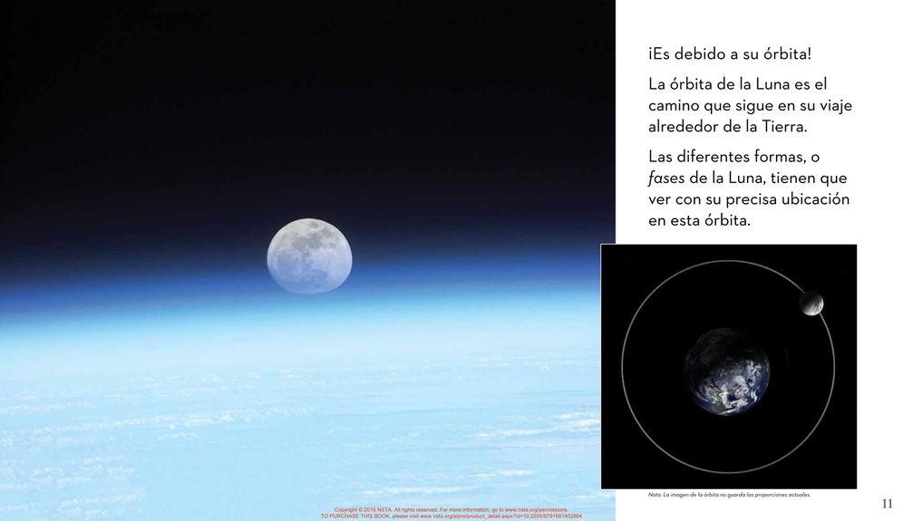 La proxima vez que veas la luna