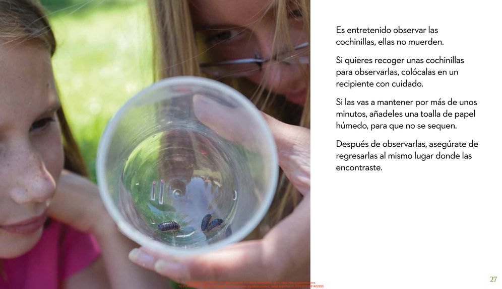 La proxima vez que veas una cochinilla