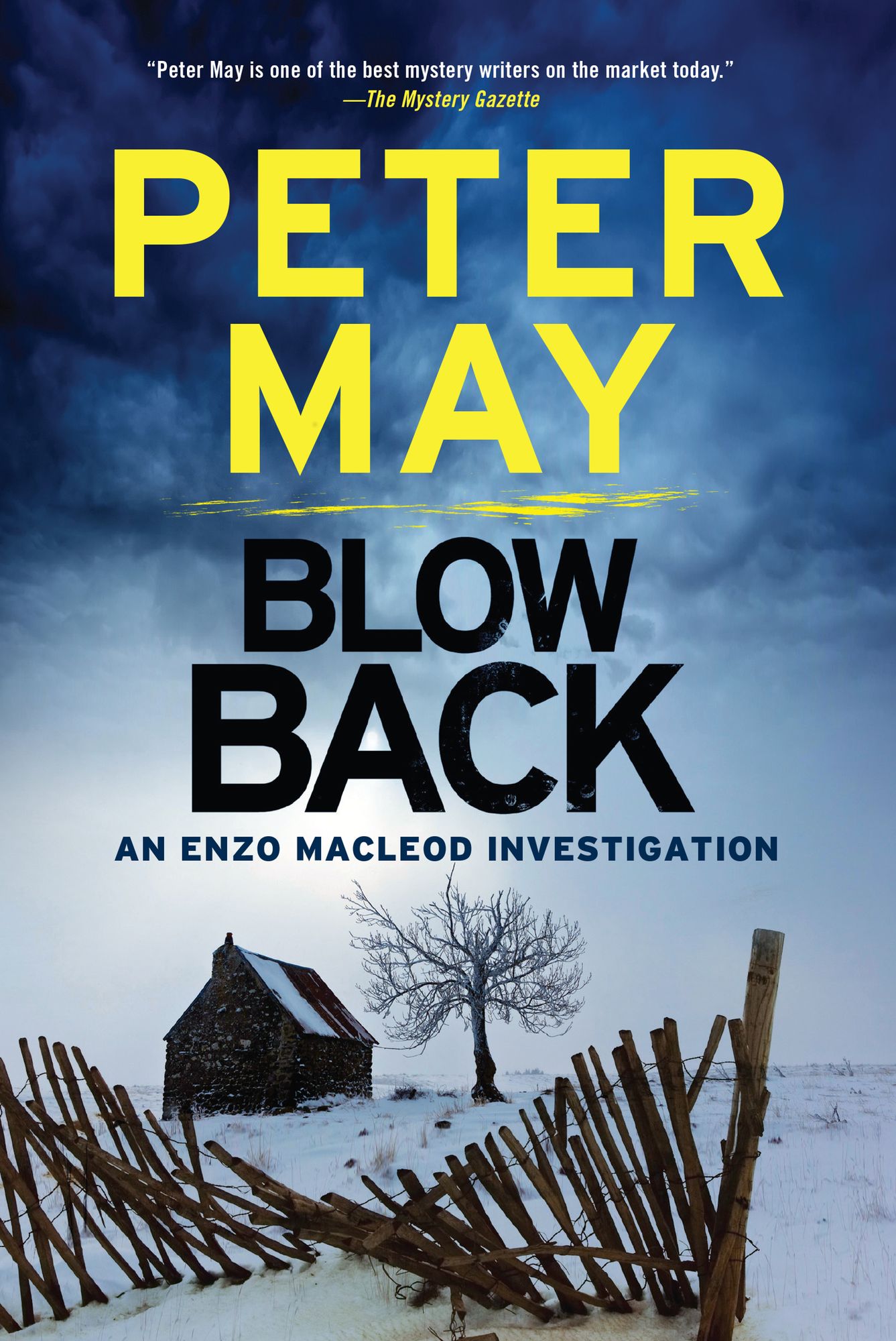 Blowback (Enzo Files Series #5)