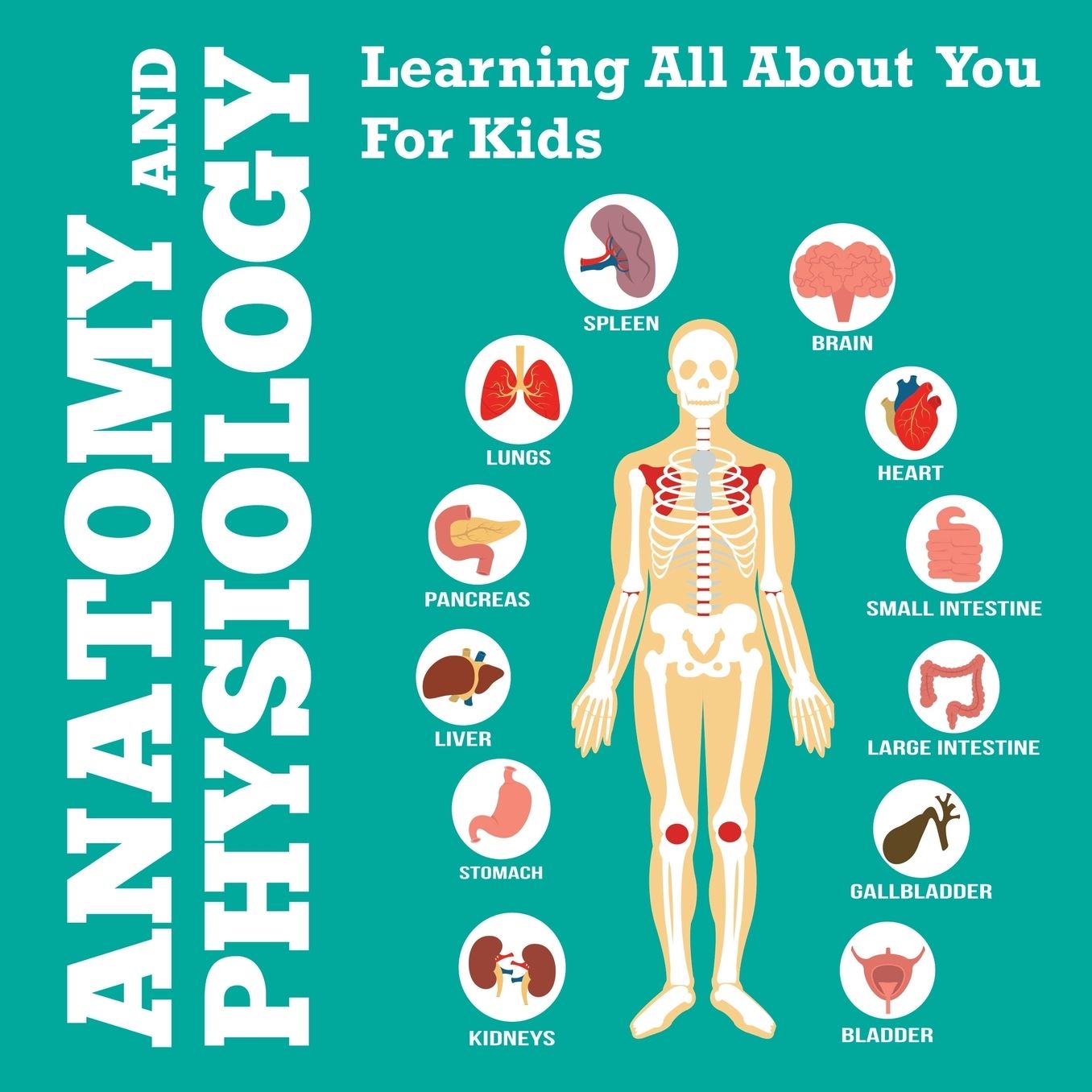 Anatomy and Physiology: Learning All about You for Kids