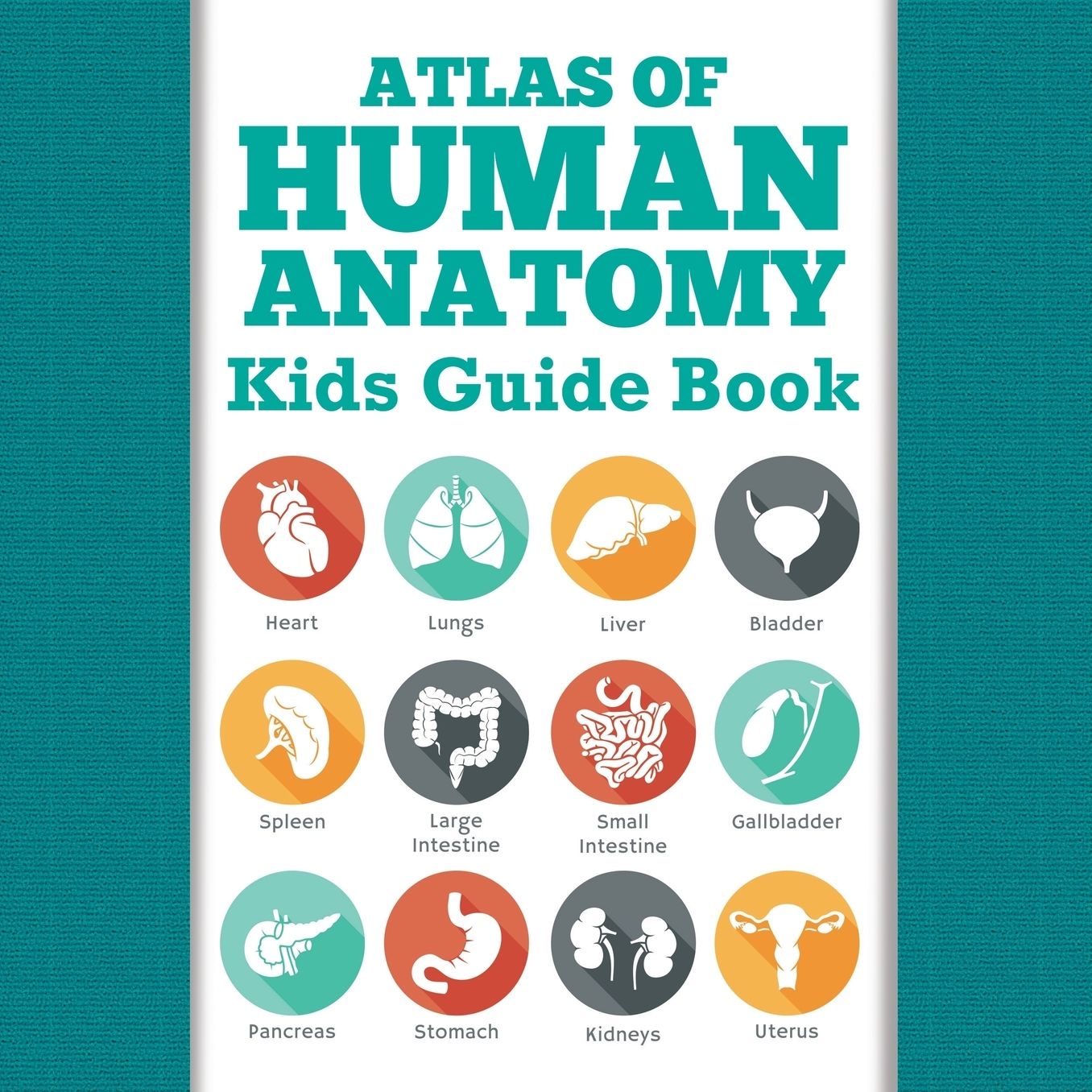 Atlas of Human Anatomy: Kids Guide Book