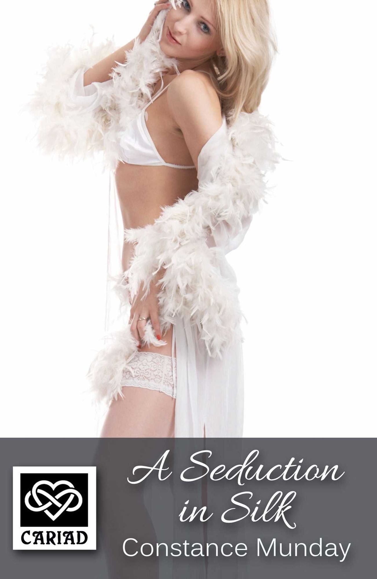 A Seduction in Silk