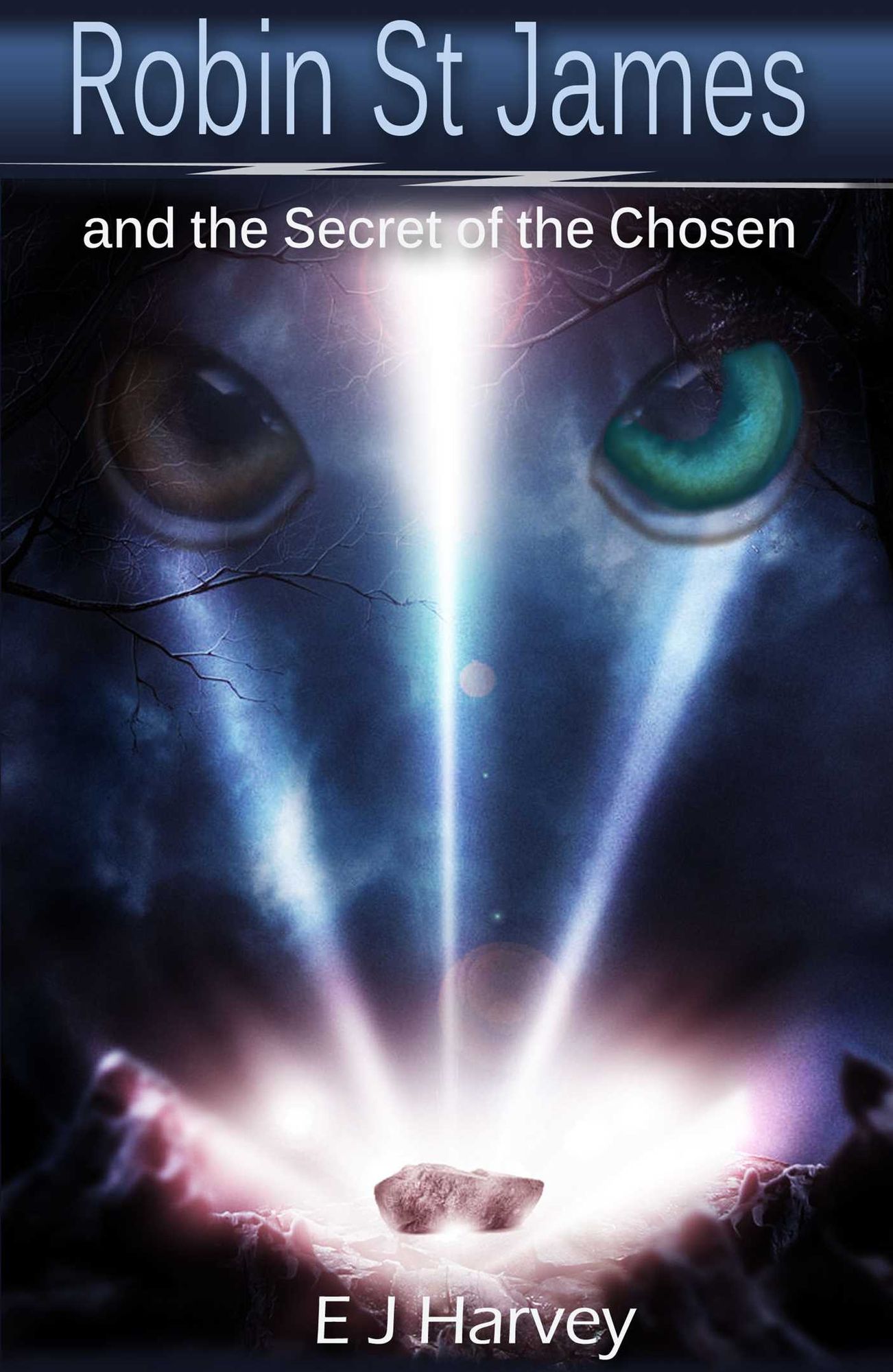 Robin St. James and the Secrets of the Chosen