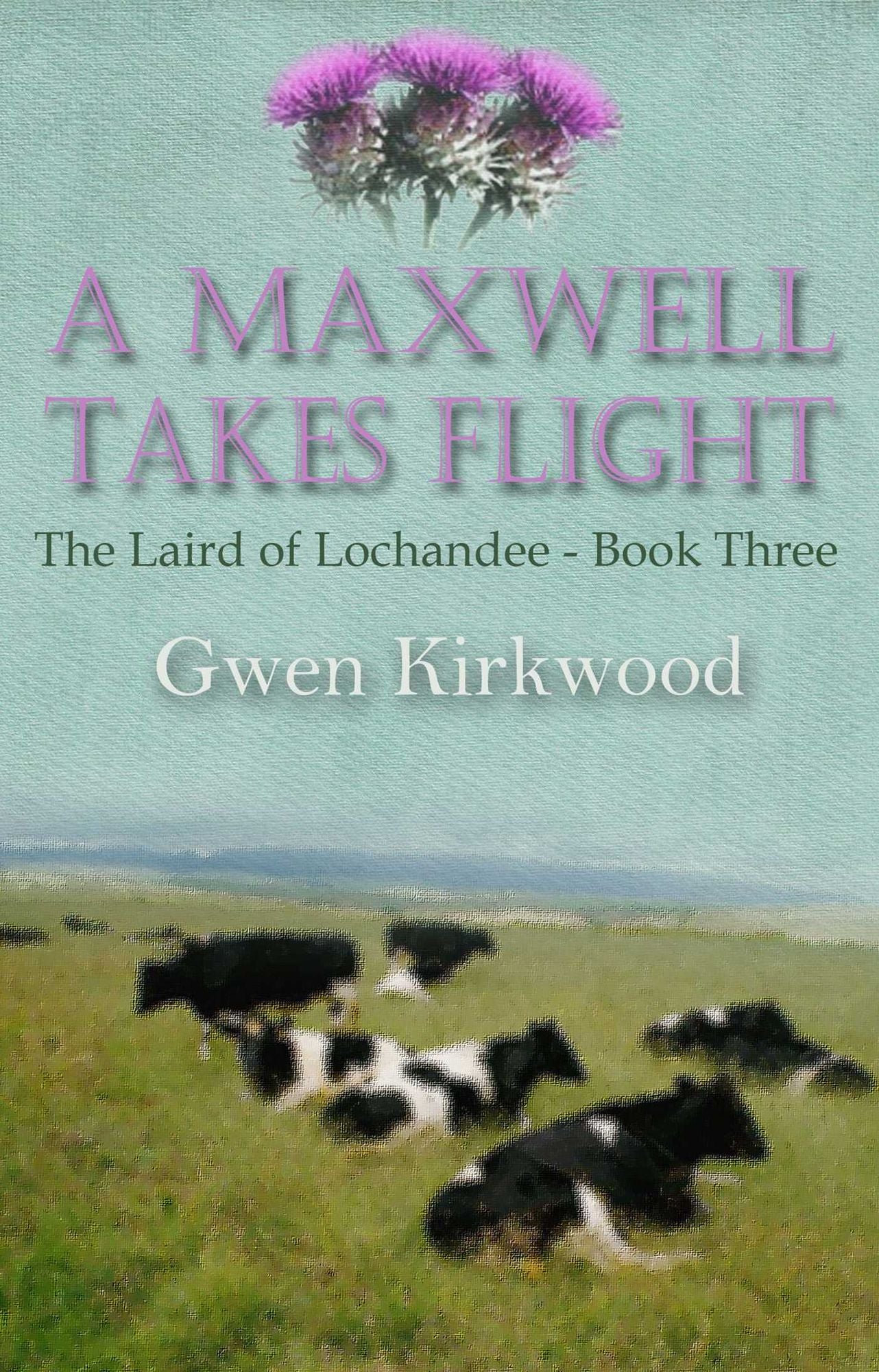 A Maxwell Takes Flight