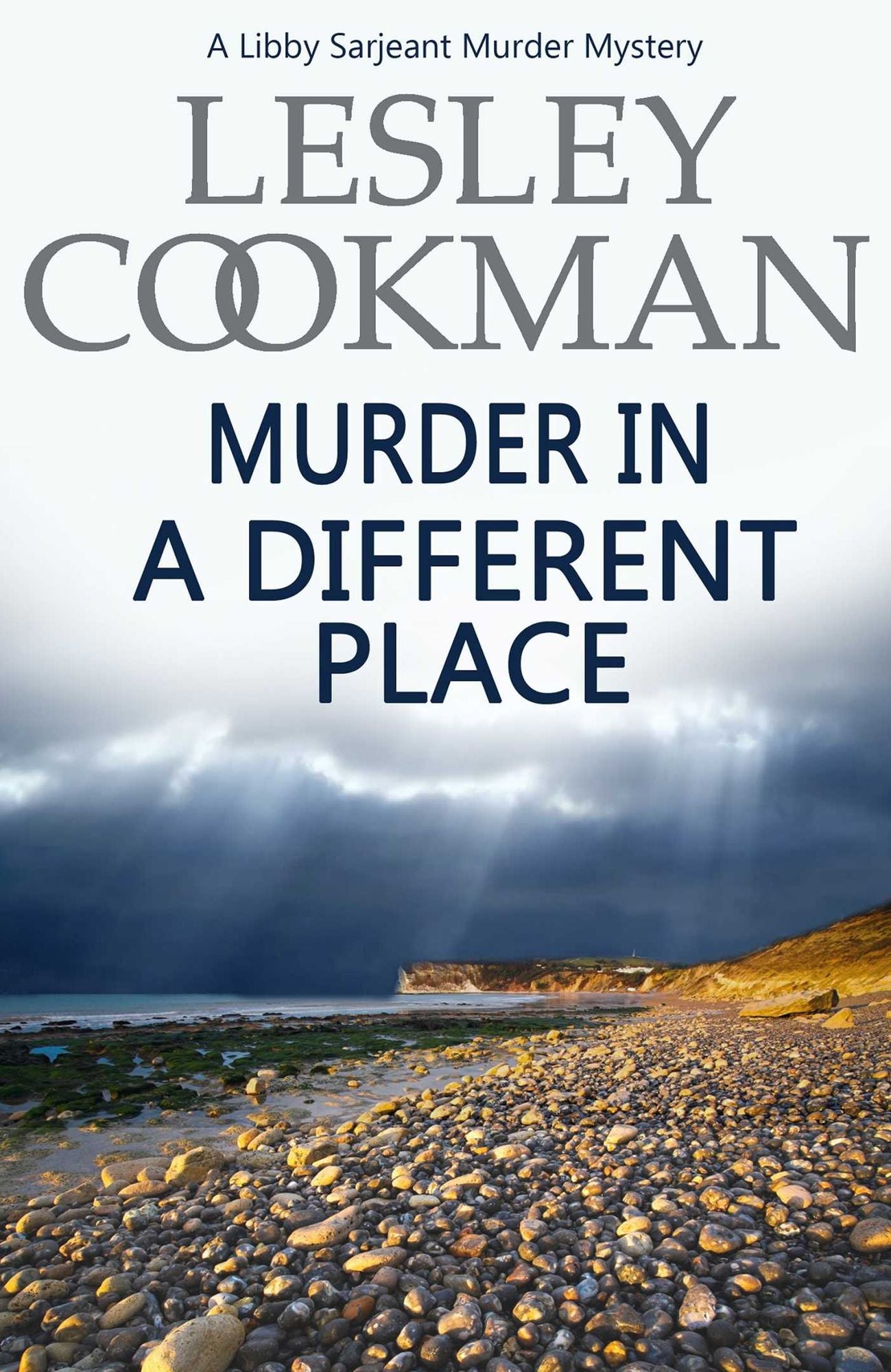 Murder in a Different Place (Libby Sarjeant Series #13)