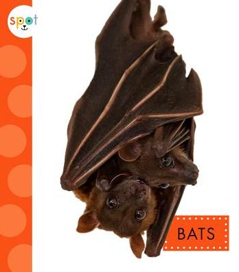 El Murcielago (Bats)