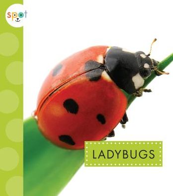 Ladybugs