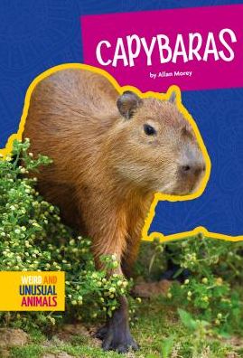 Capybaras